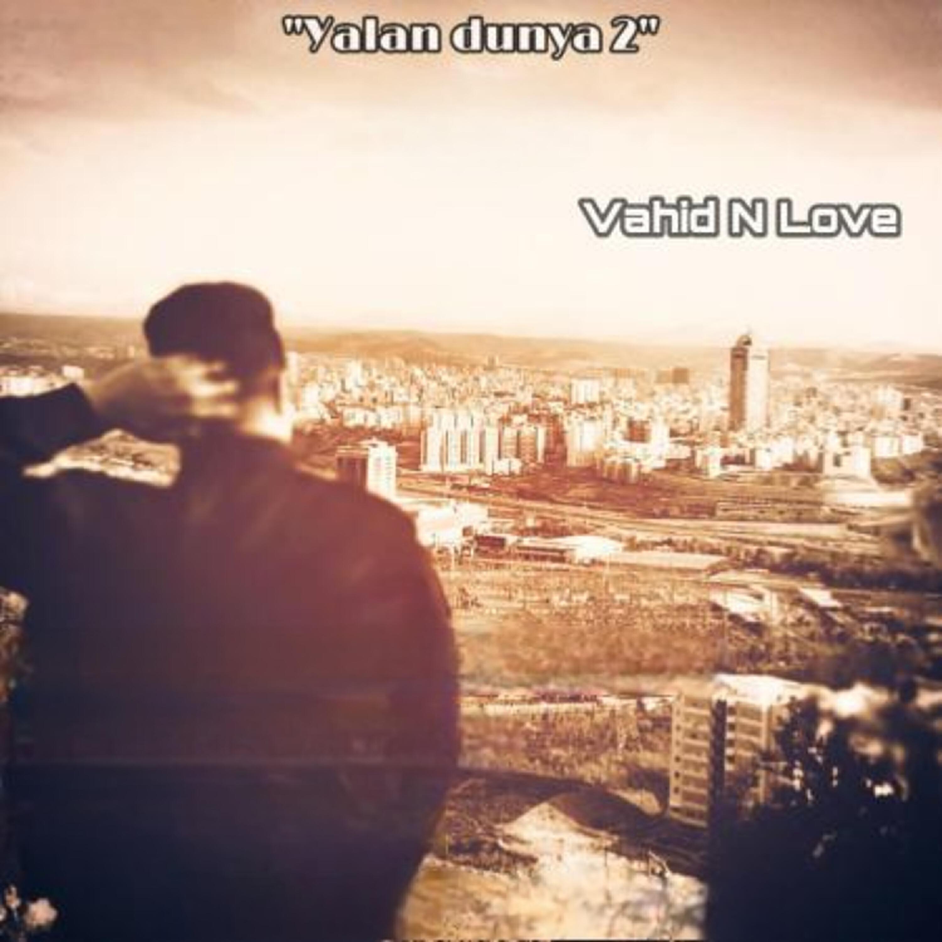 Vahid N Love