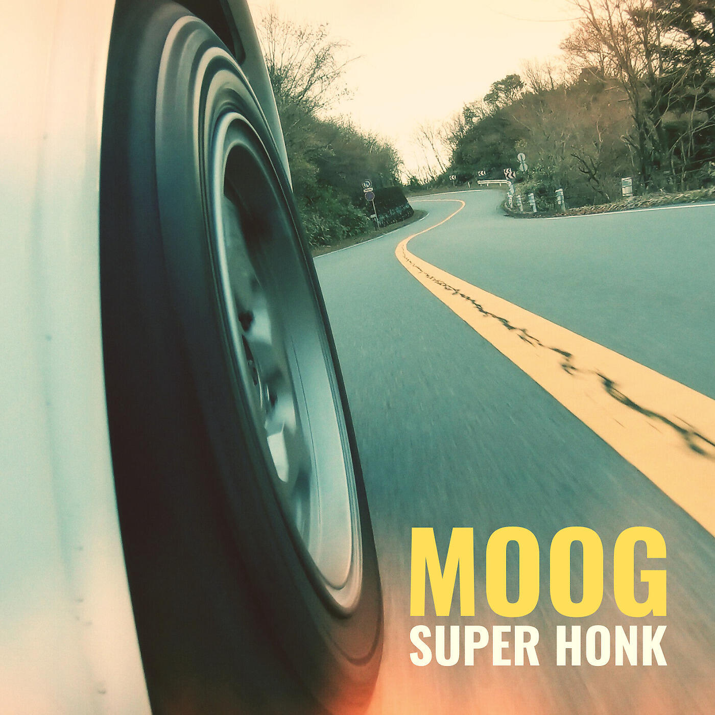 Moog - Super Honk