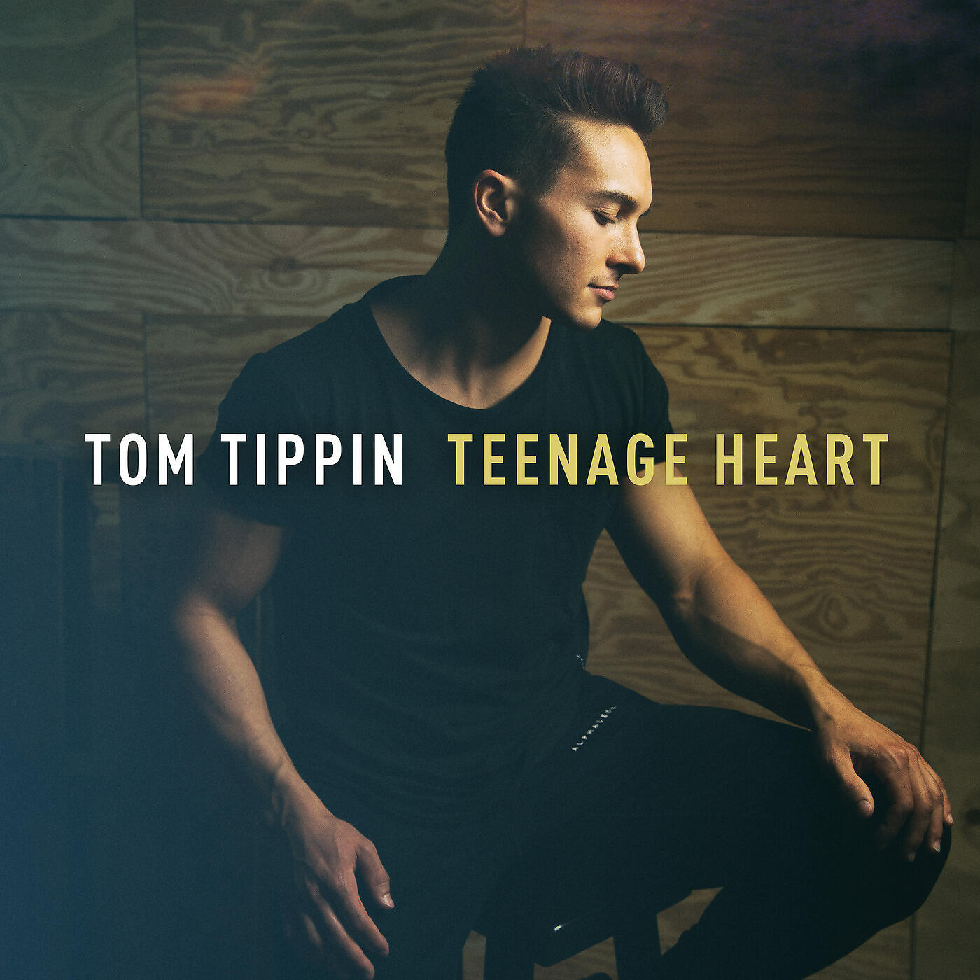 Tom Tippin