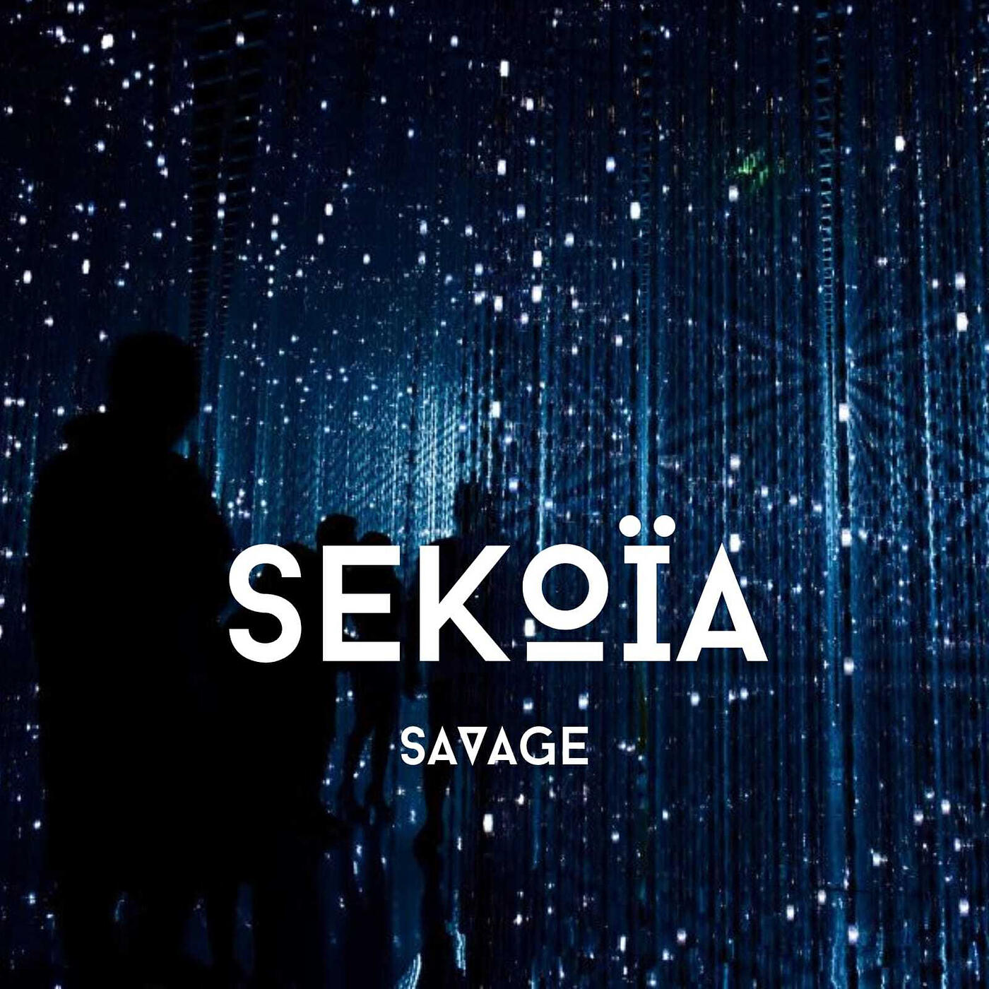 Постер альбома Savage