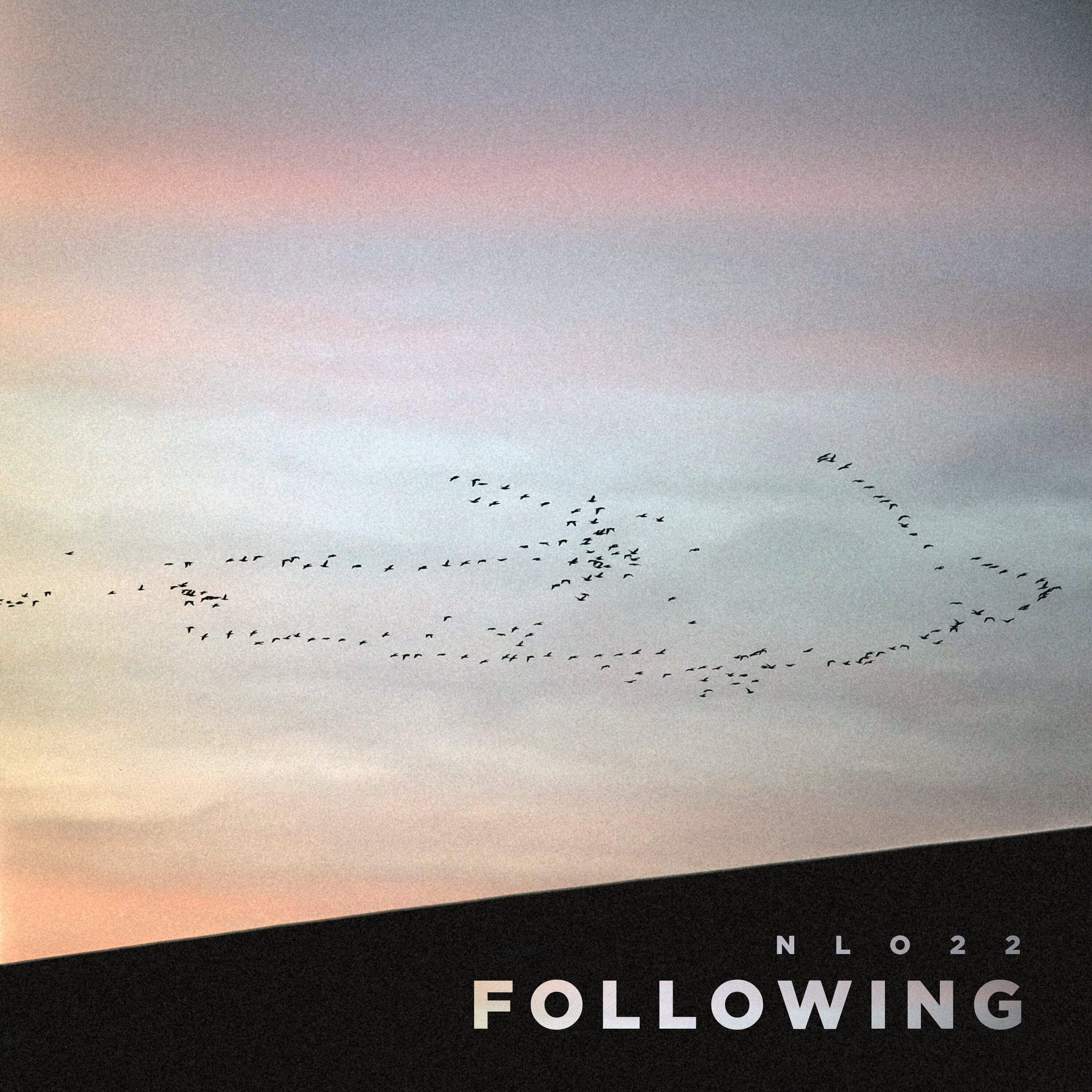 Релиз Following