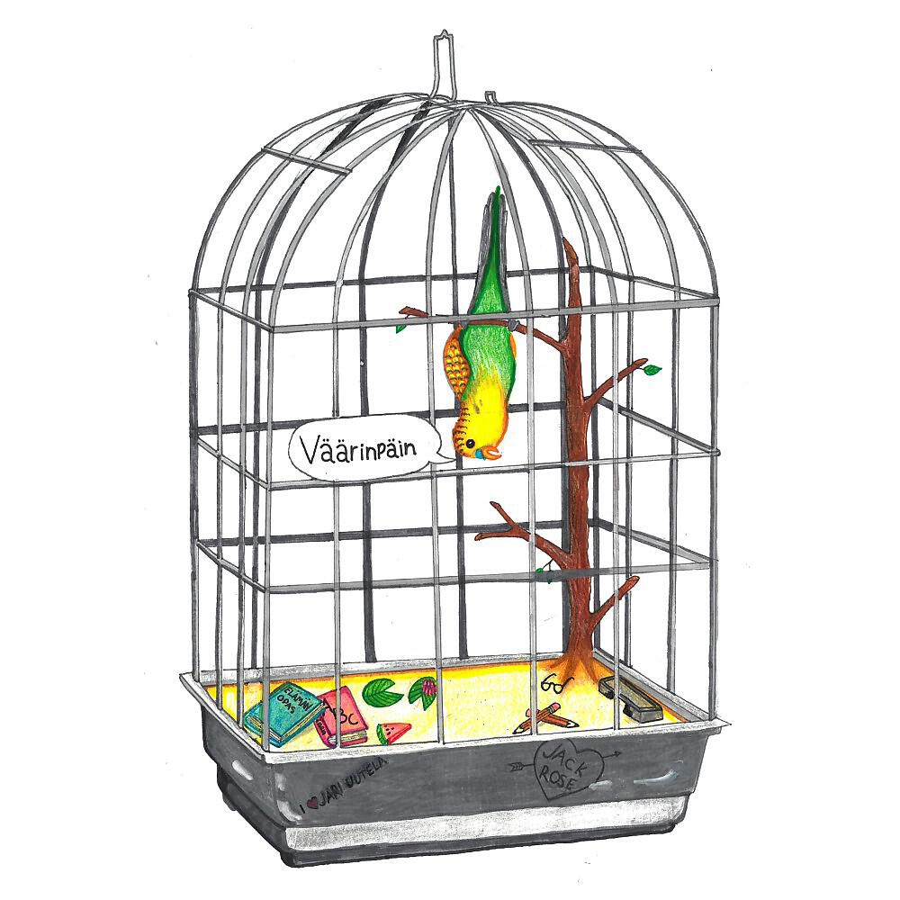 Релиз Väärinpäin