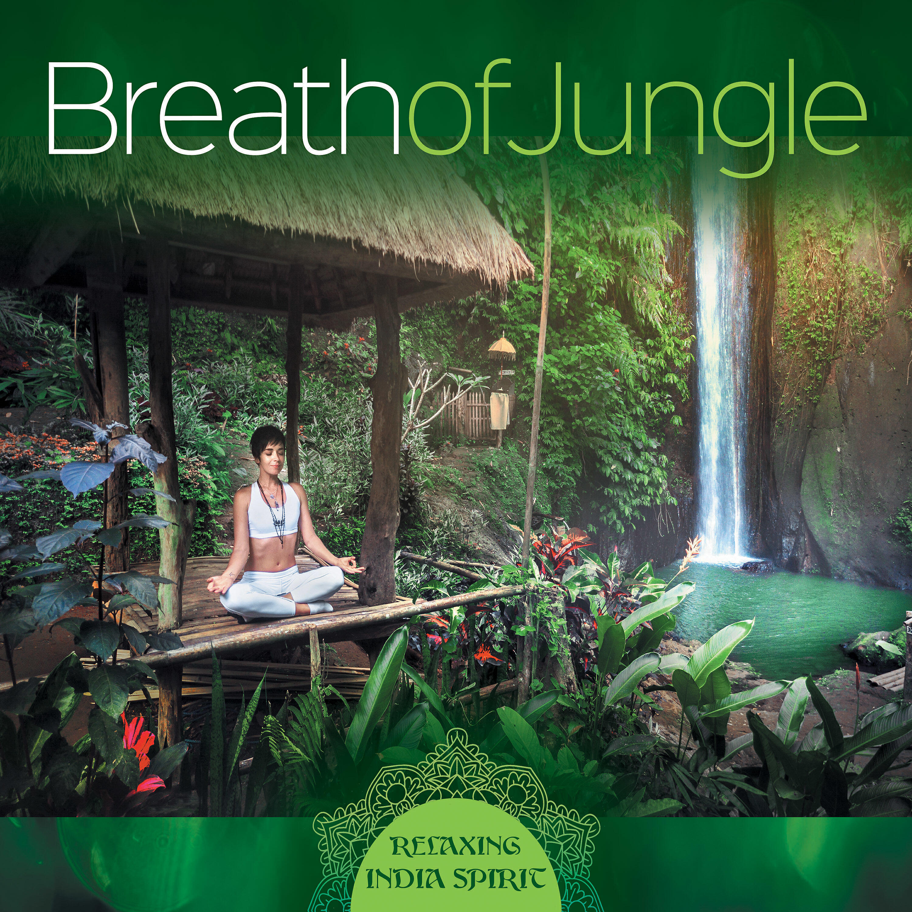 Релиз Breath of Jungle