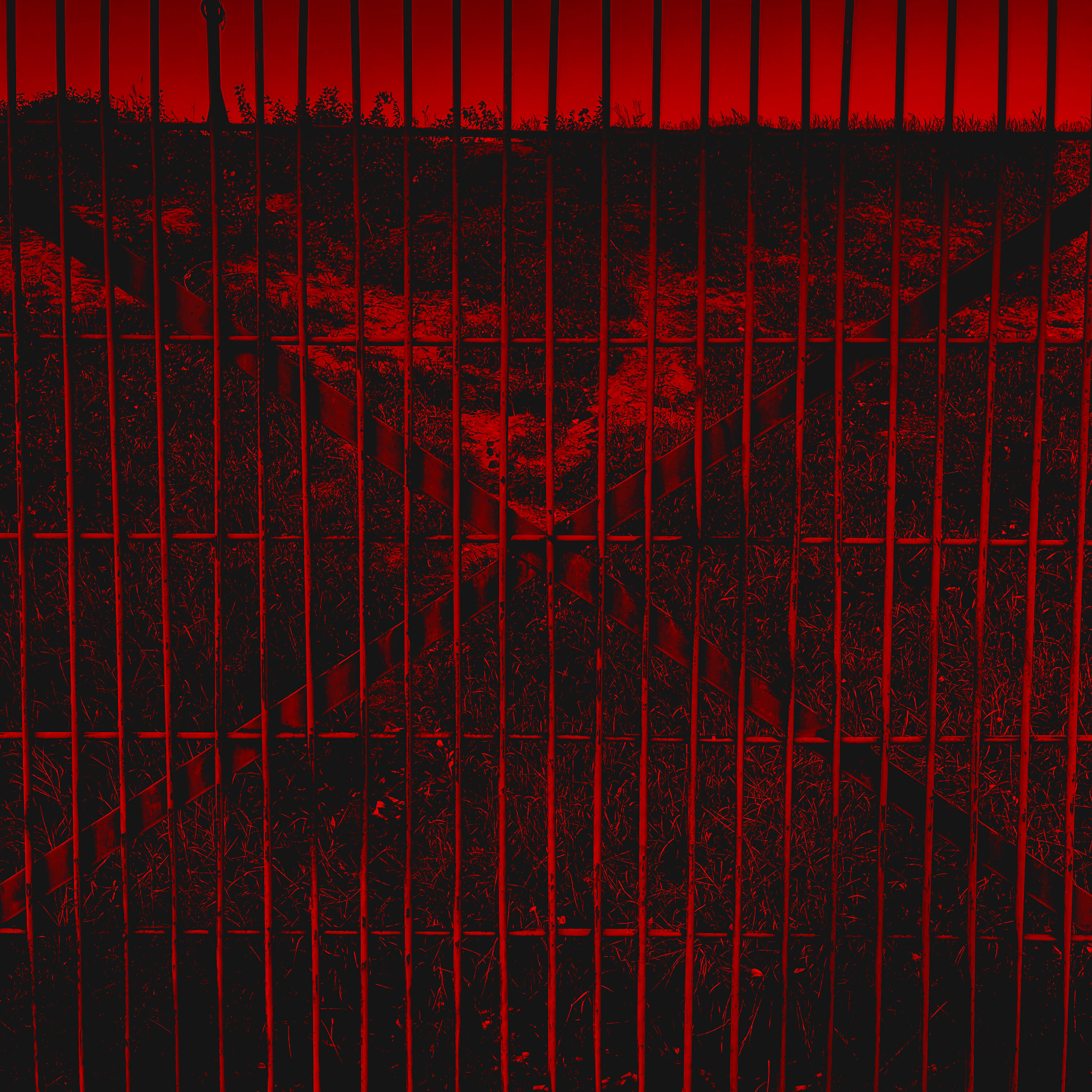 Релиз Catalyst