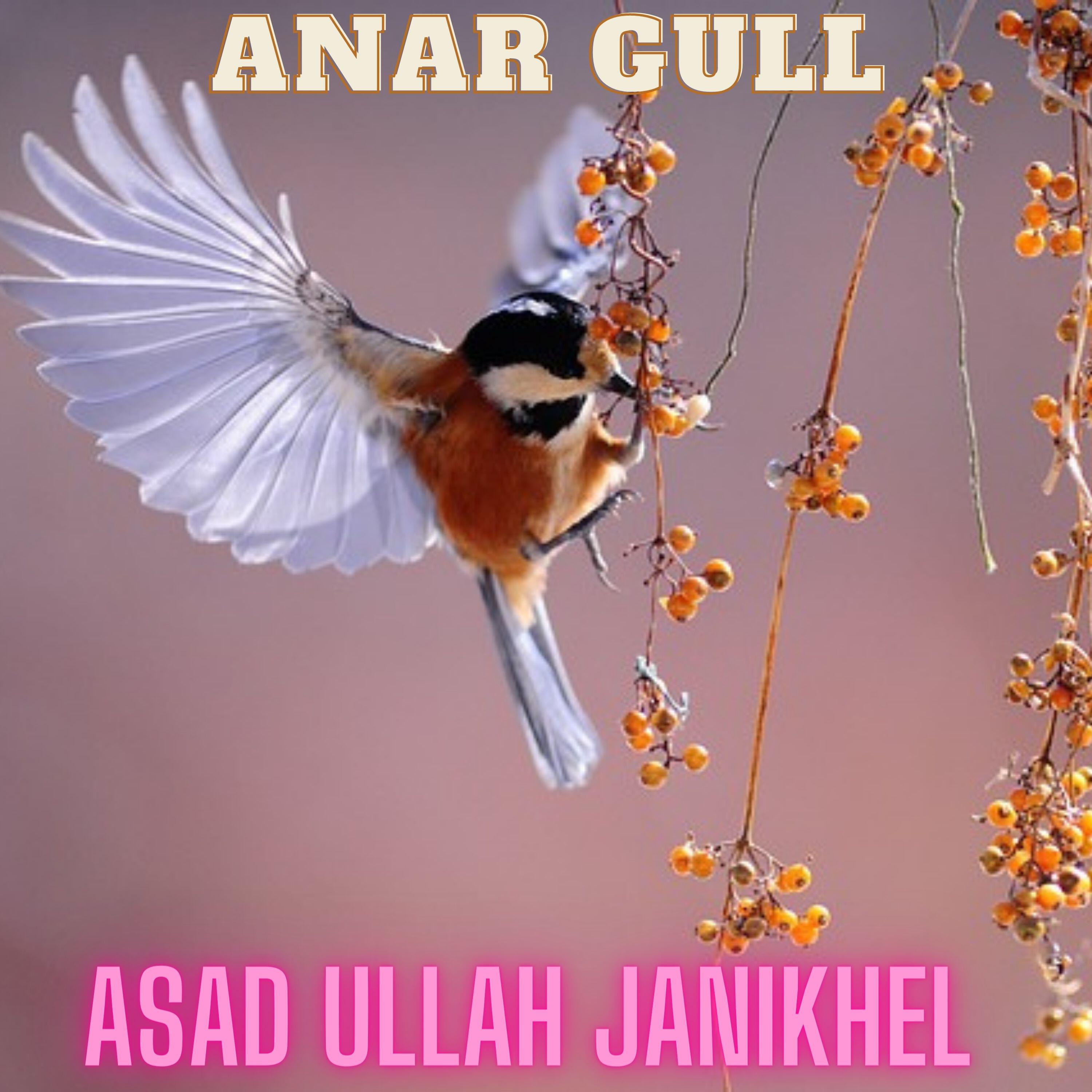 Релиз Anar Gull
