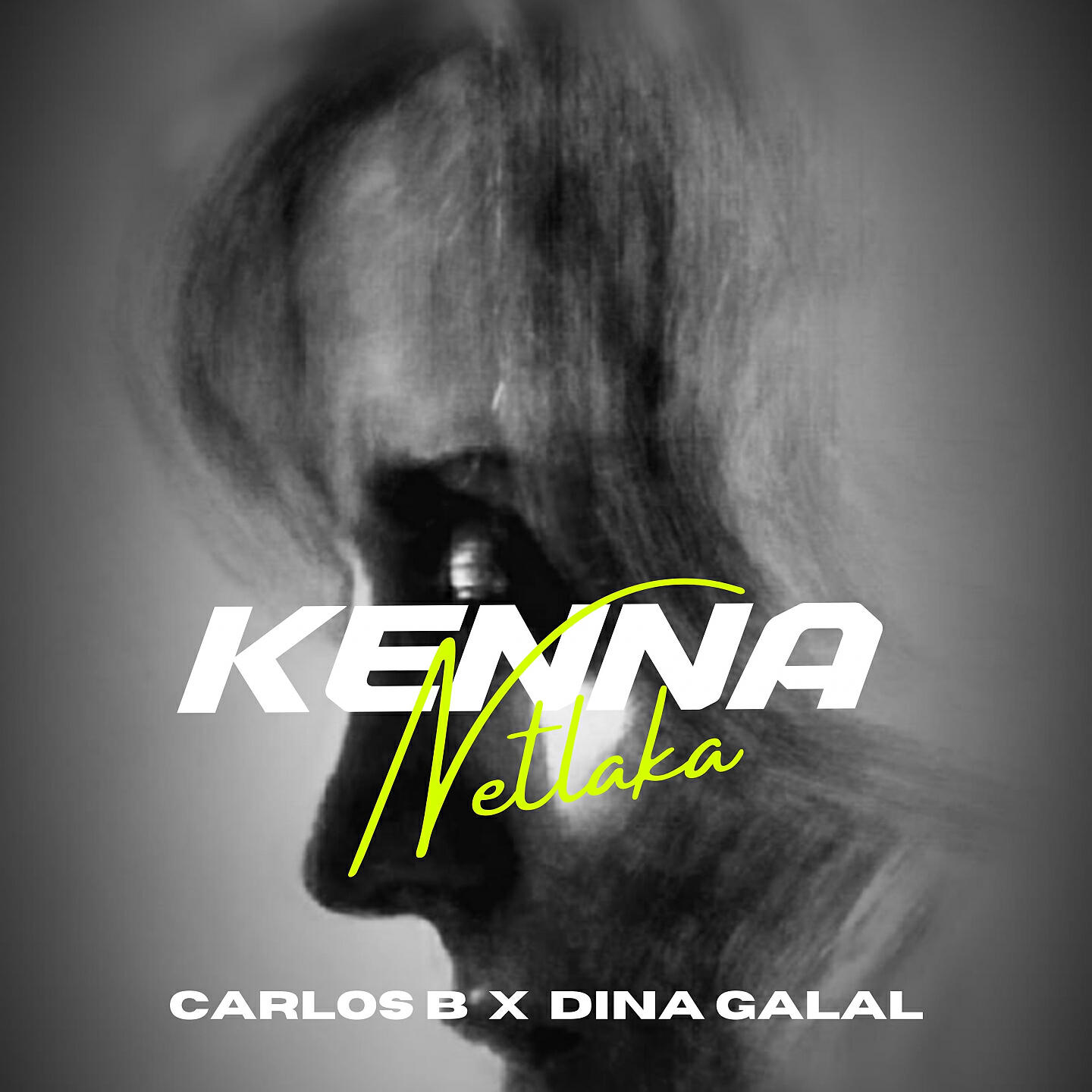 Релиз Kenna Netlaka