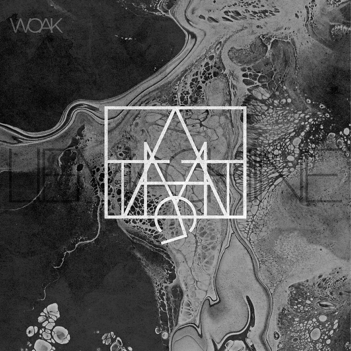 Релиз Lie Machine