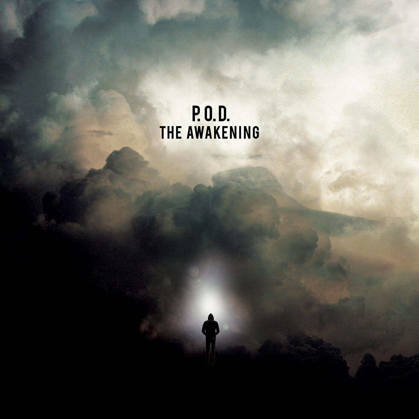 Постер альбома The Awakening