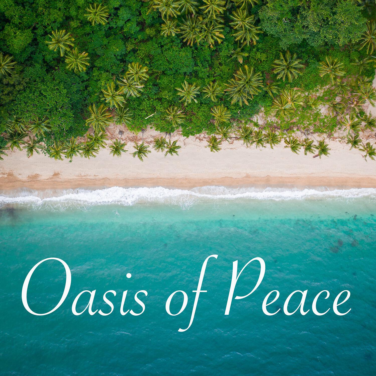 Постер альбома Oasis of Peace