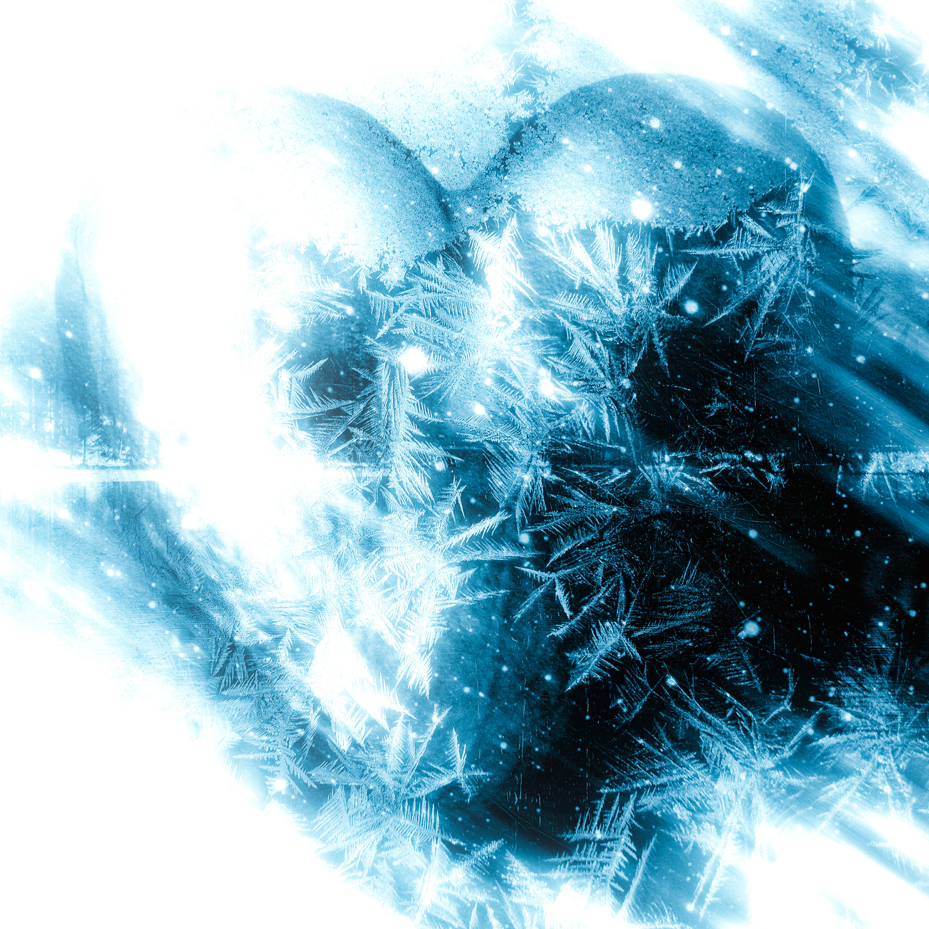 Релиз Холоден