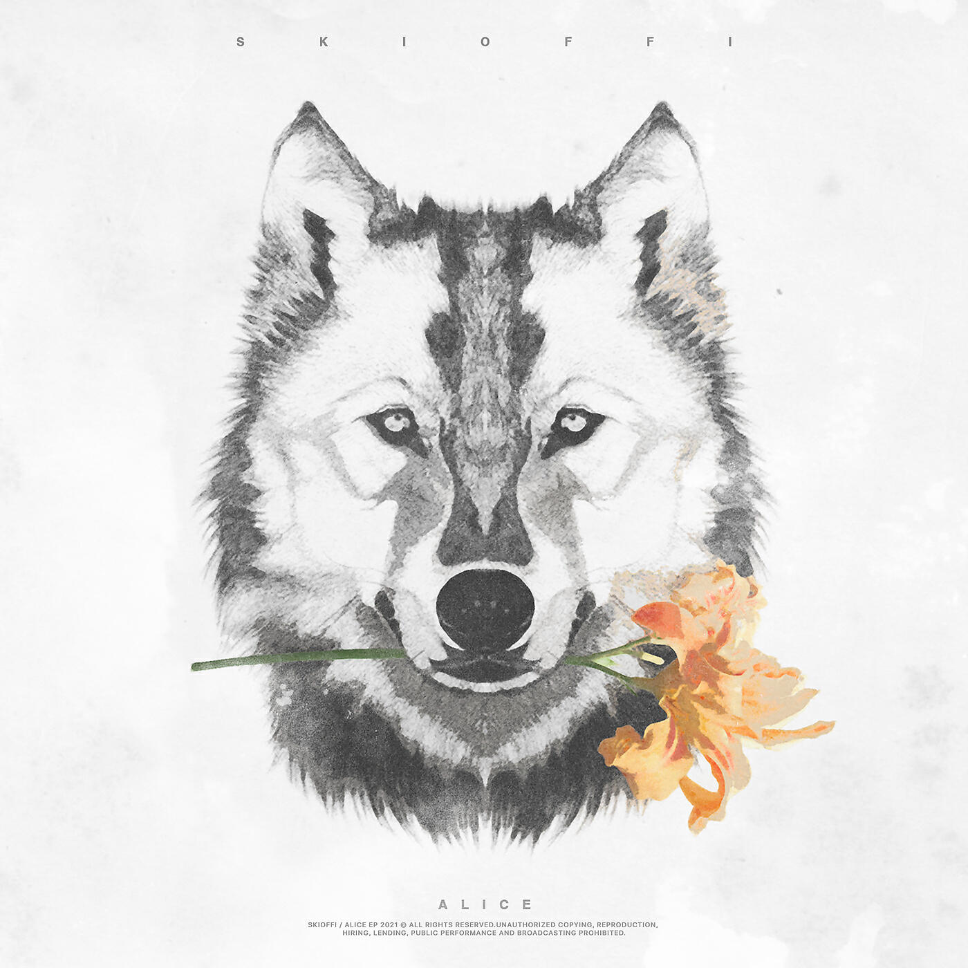 Релиз Alice