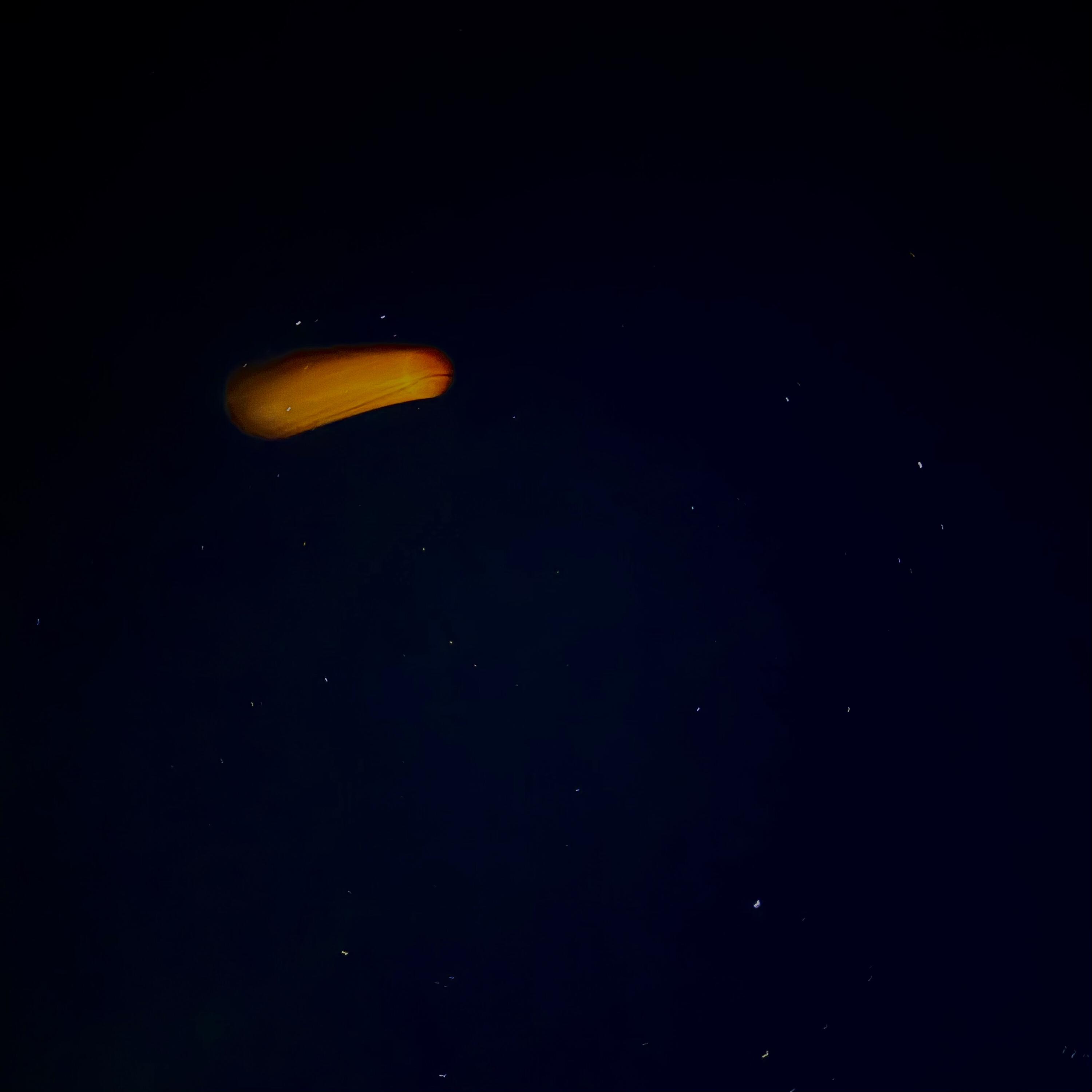 Релиз Eclipse