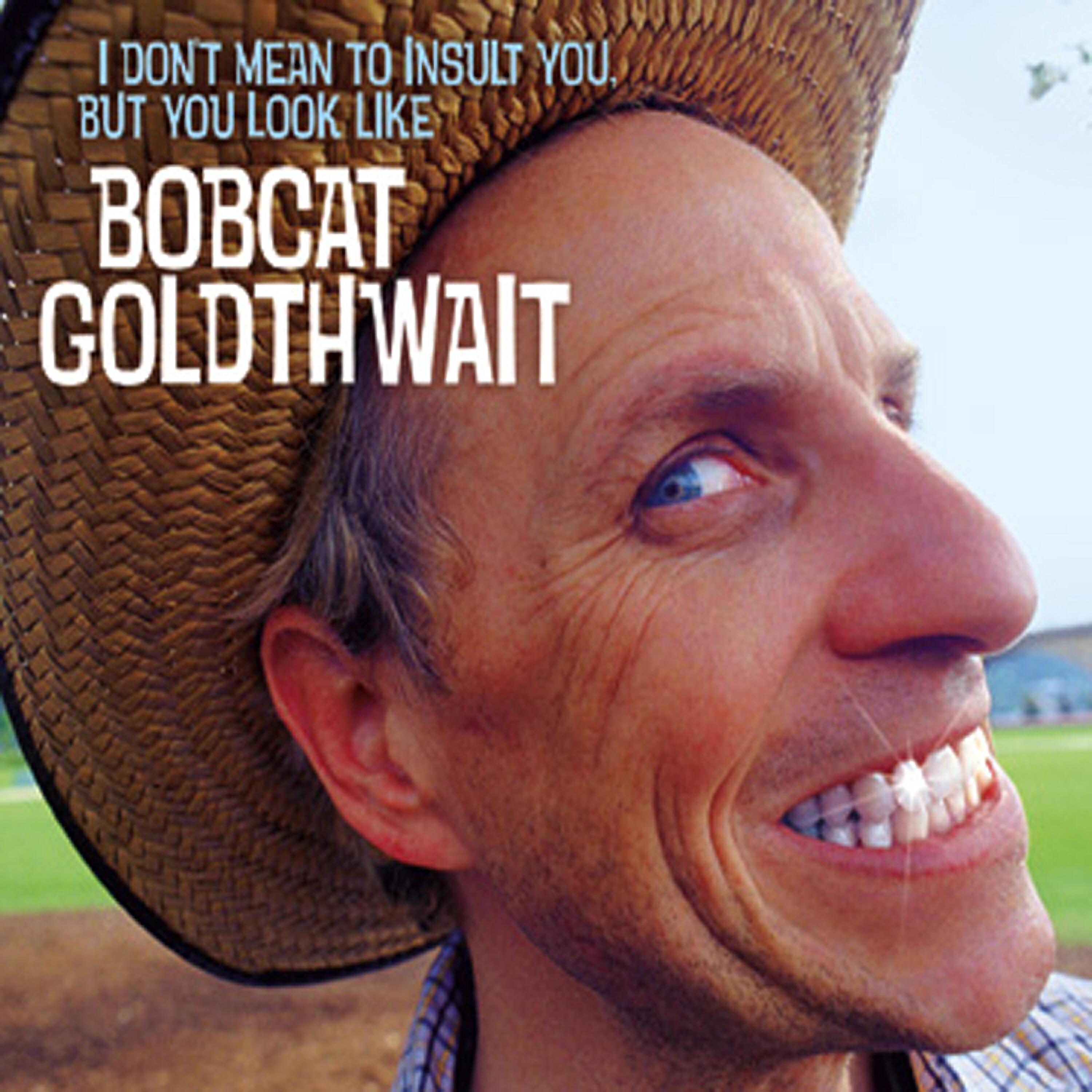 Релиз I Don't Mean to Insult You, But You Look Like Bobcat Goldthwait