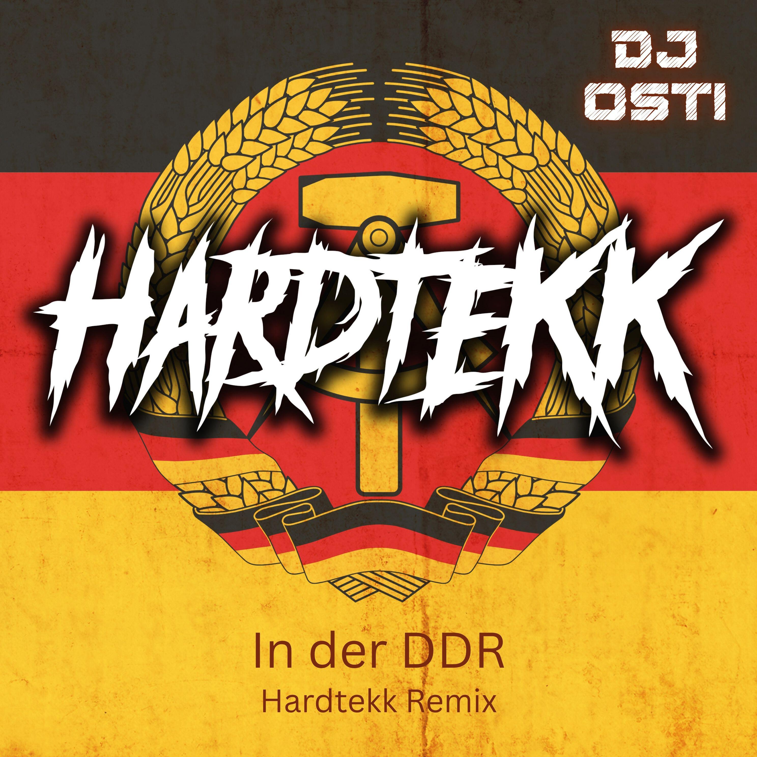 Релиз IN DER DDR (Hardtekk Remix)