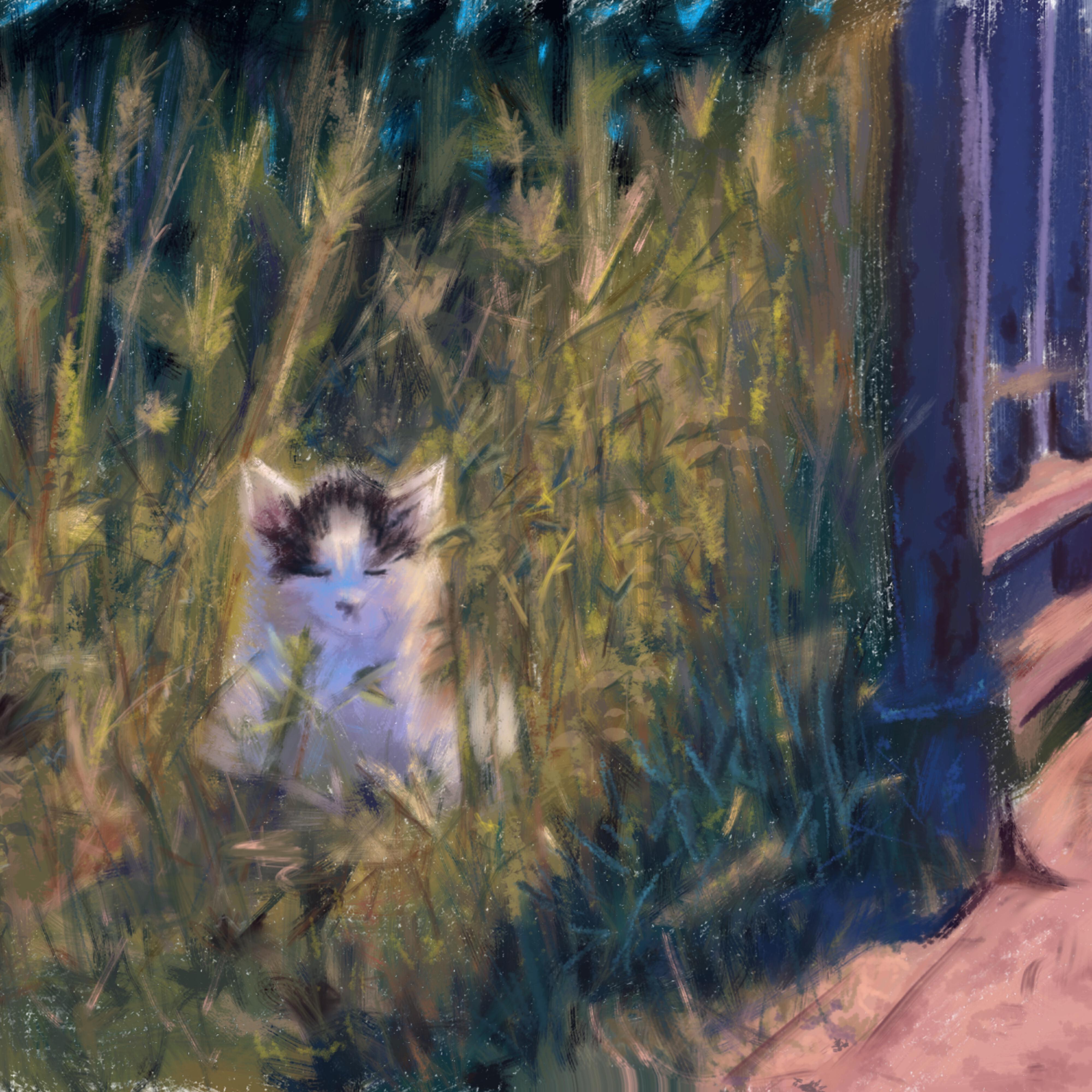 Релиз breakcore cat