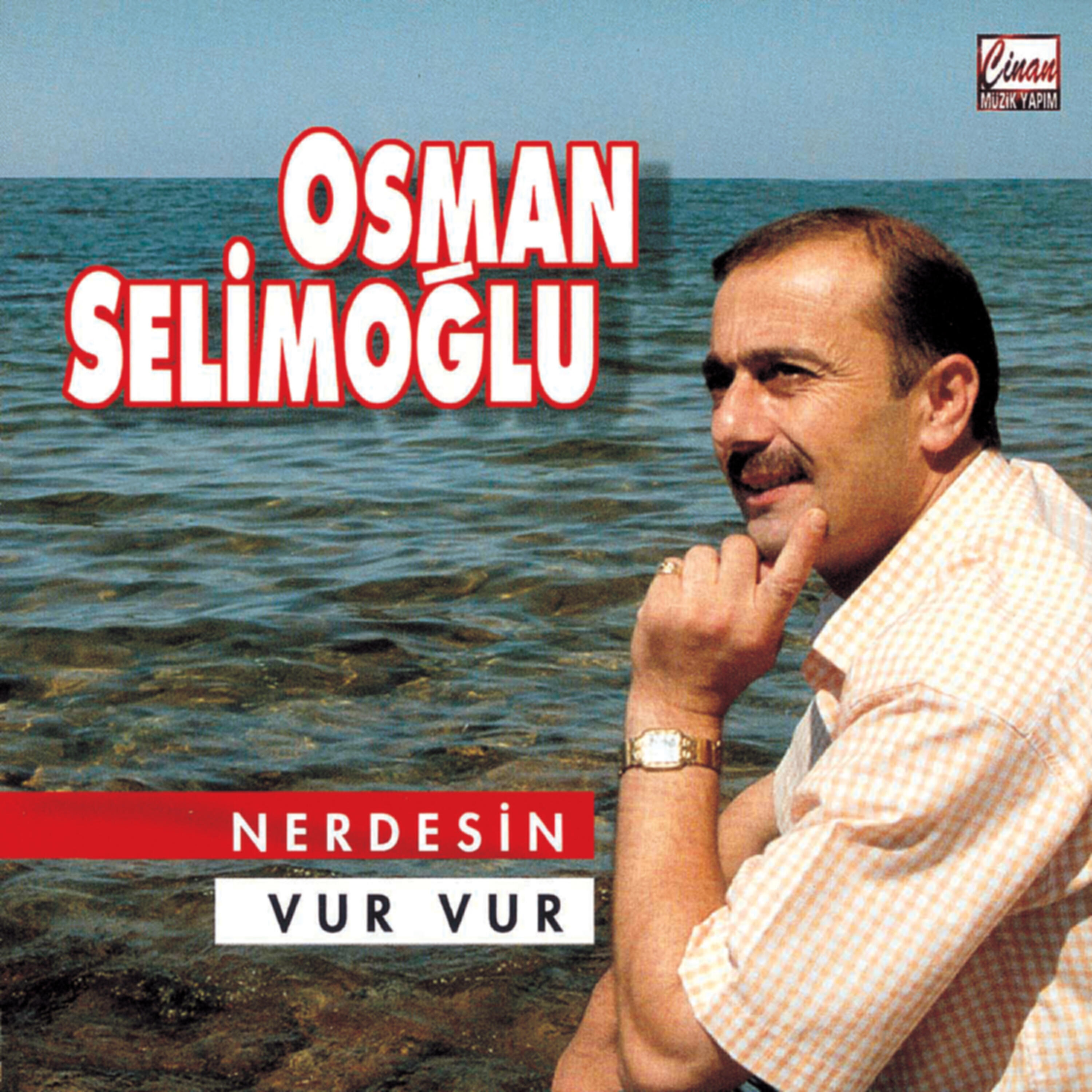 Постер альбома Nerdesin - Vur Vur