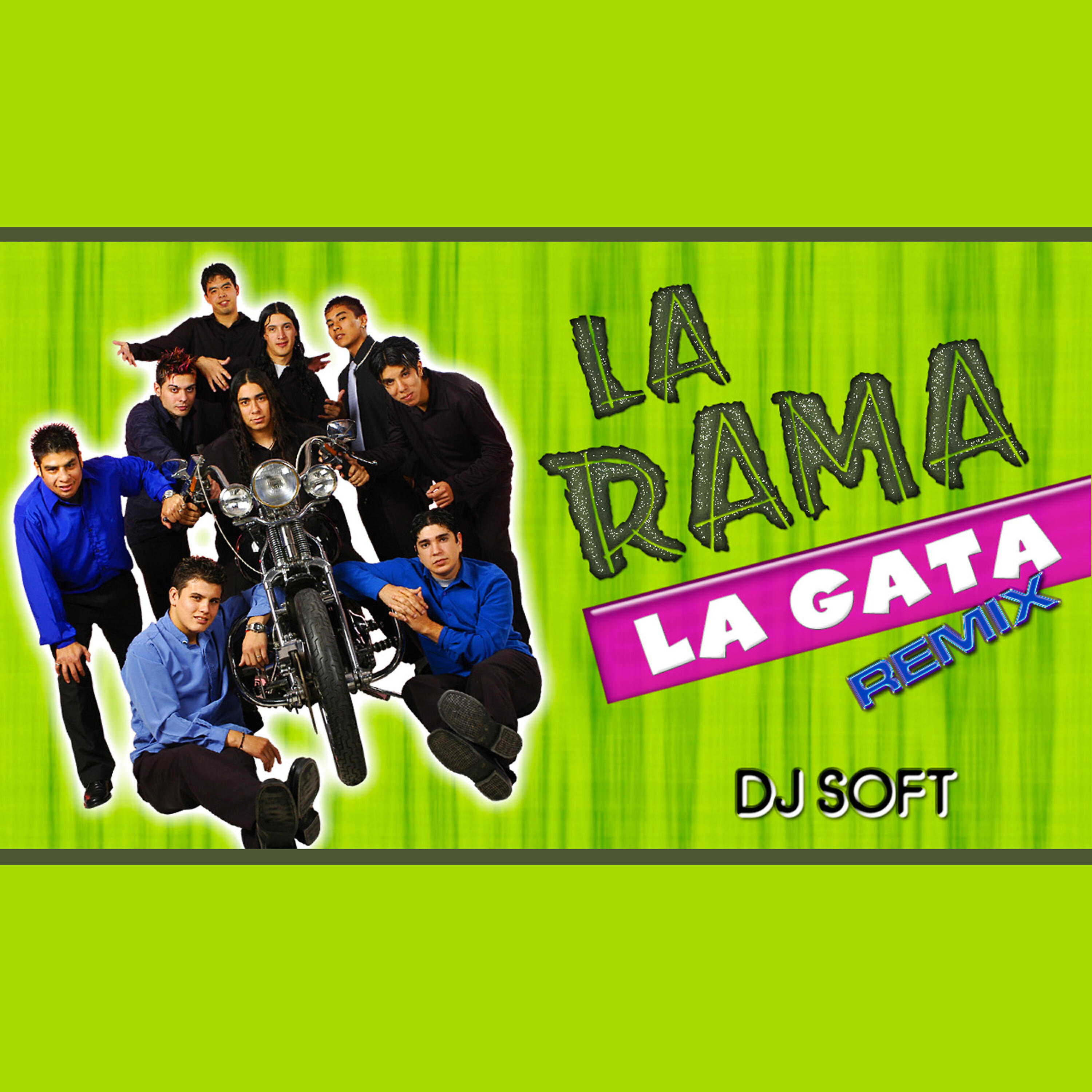Релиз La Gata (Remix)