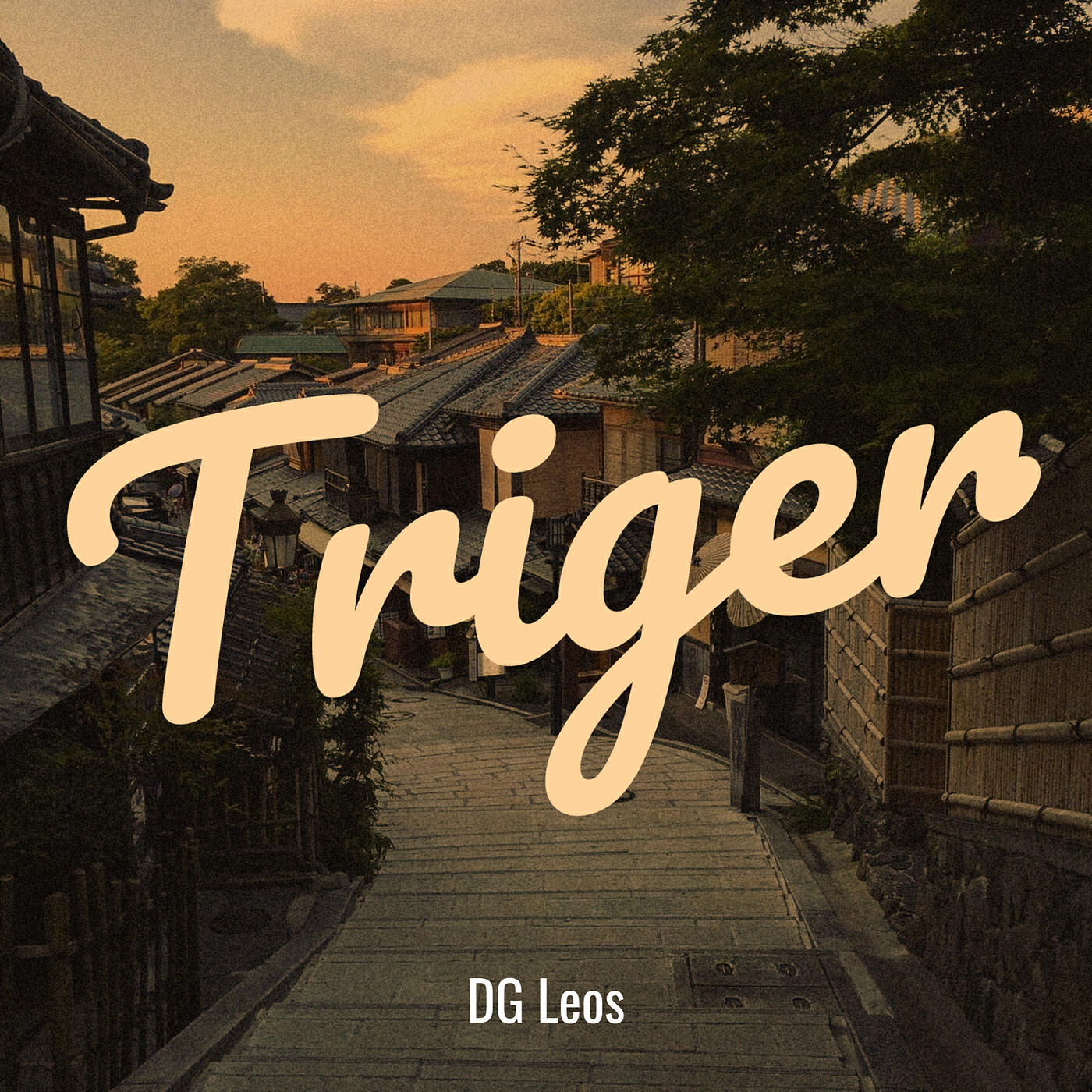 Постер альбома Triger