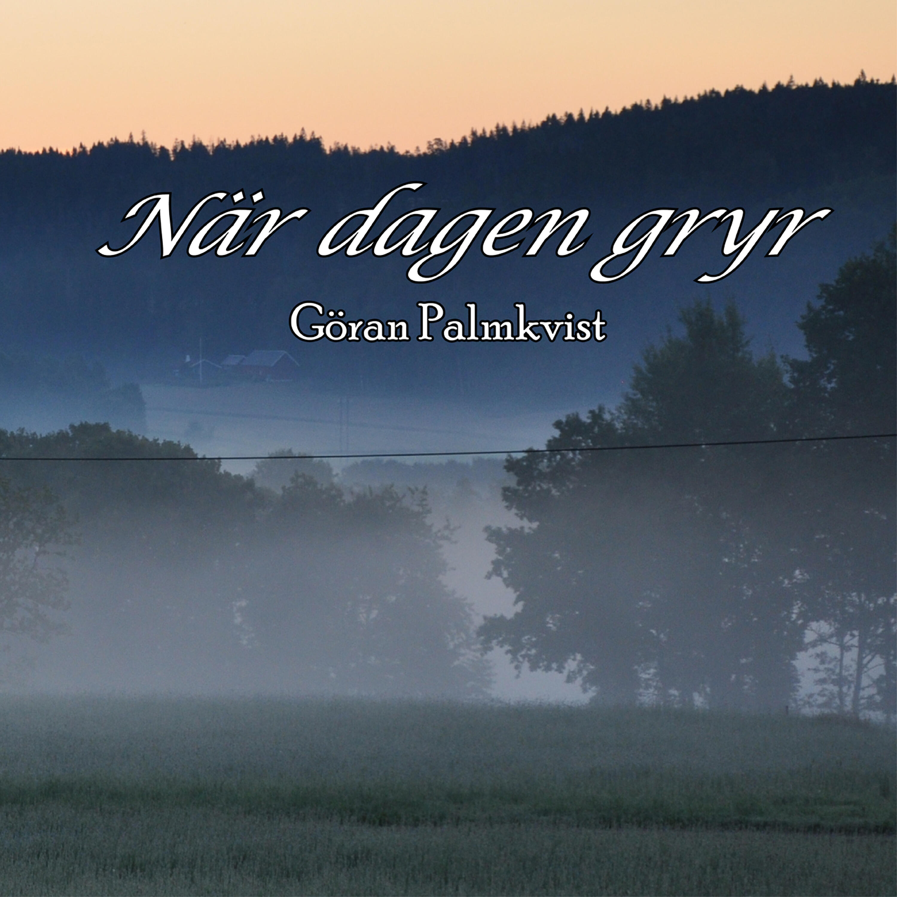 Göran Palmkvist