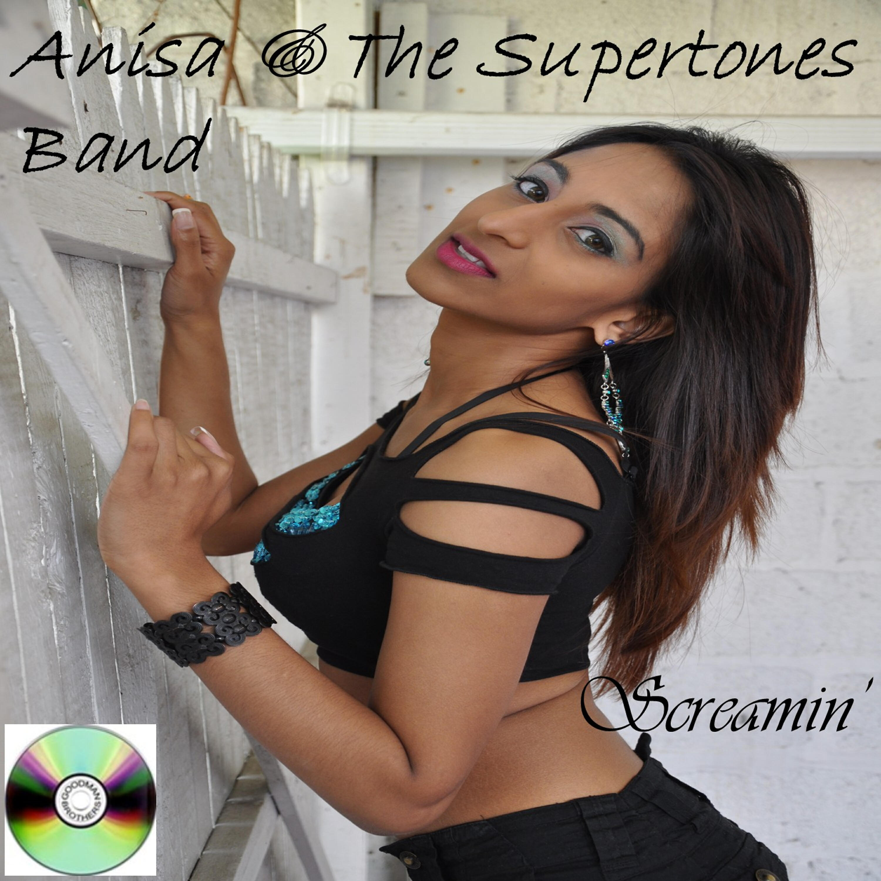 The Supertones Band