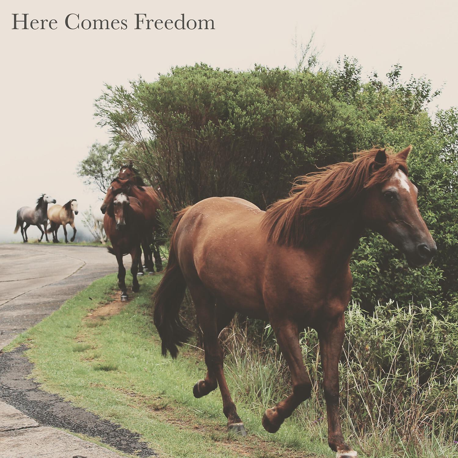 Релиз Here Comes Freedom