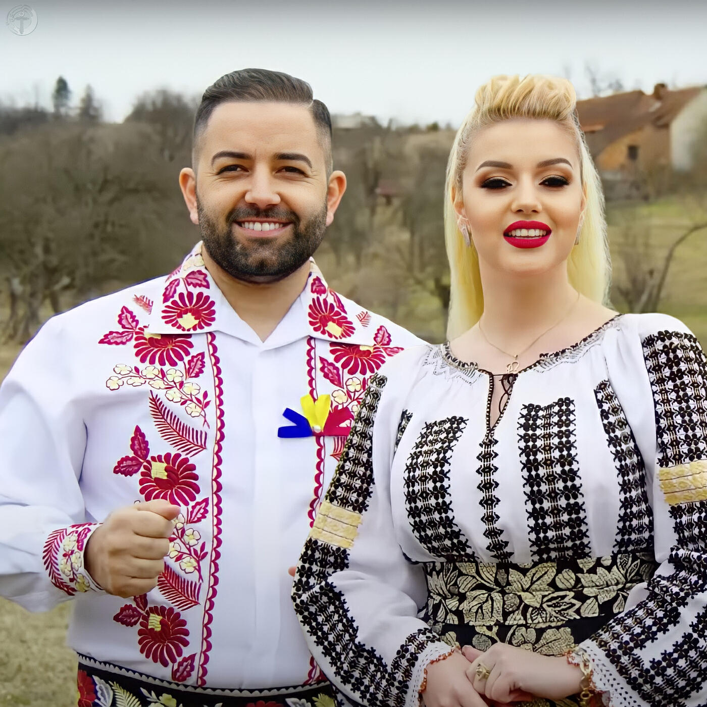 Релиз Străin in Tară Străina