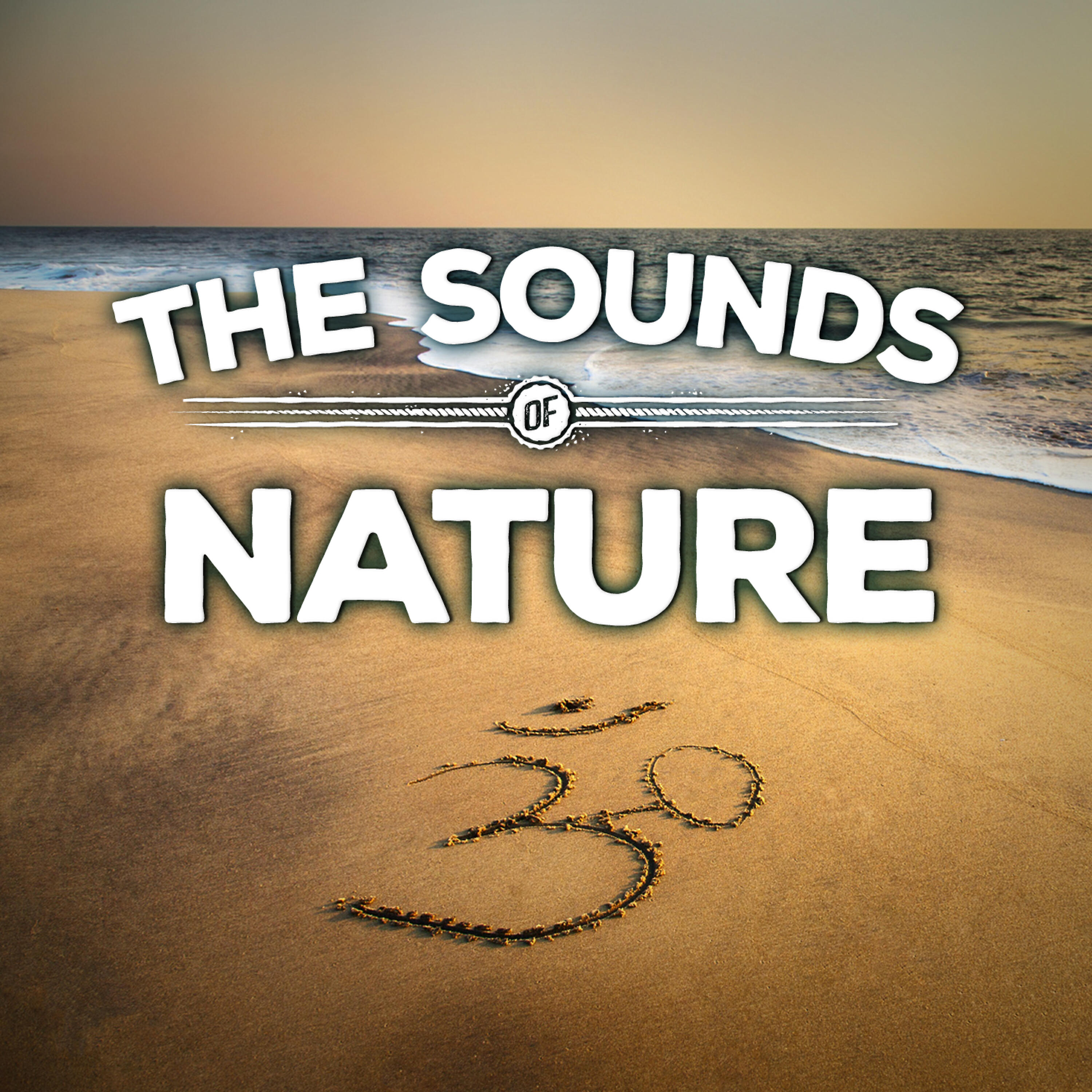 Релиз The Sounds of Nature