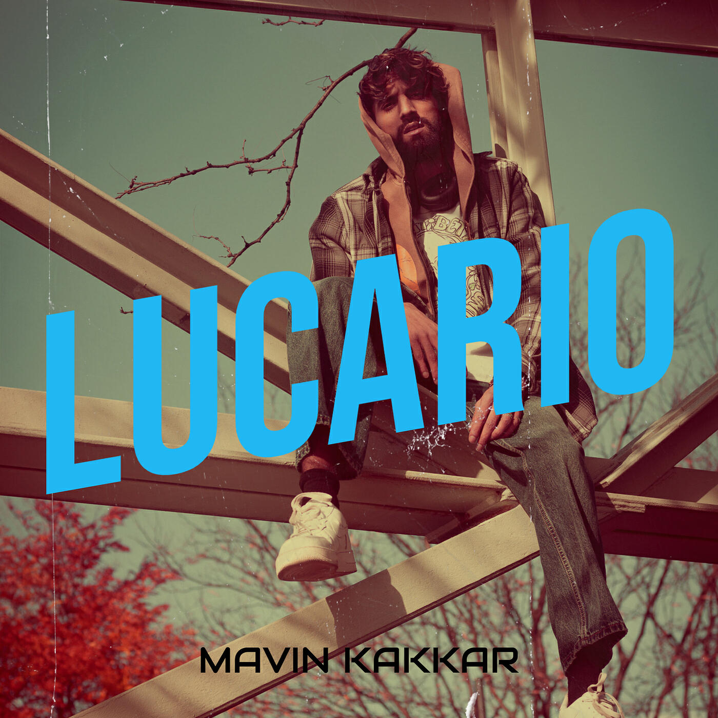 Релиз Lucario