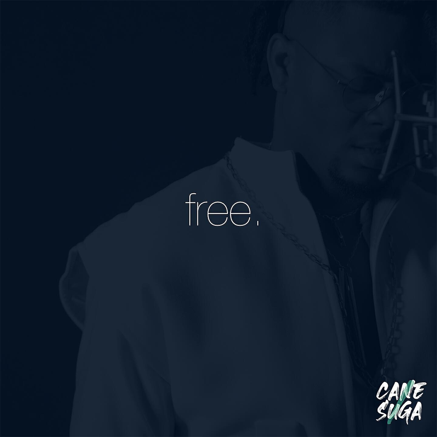 Релиз Free