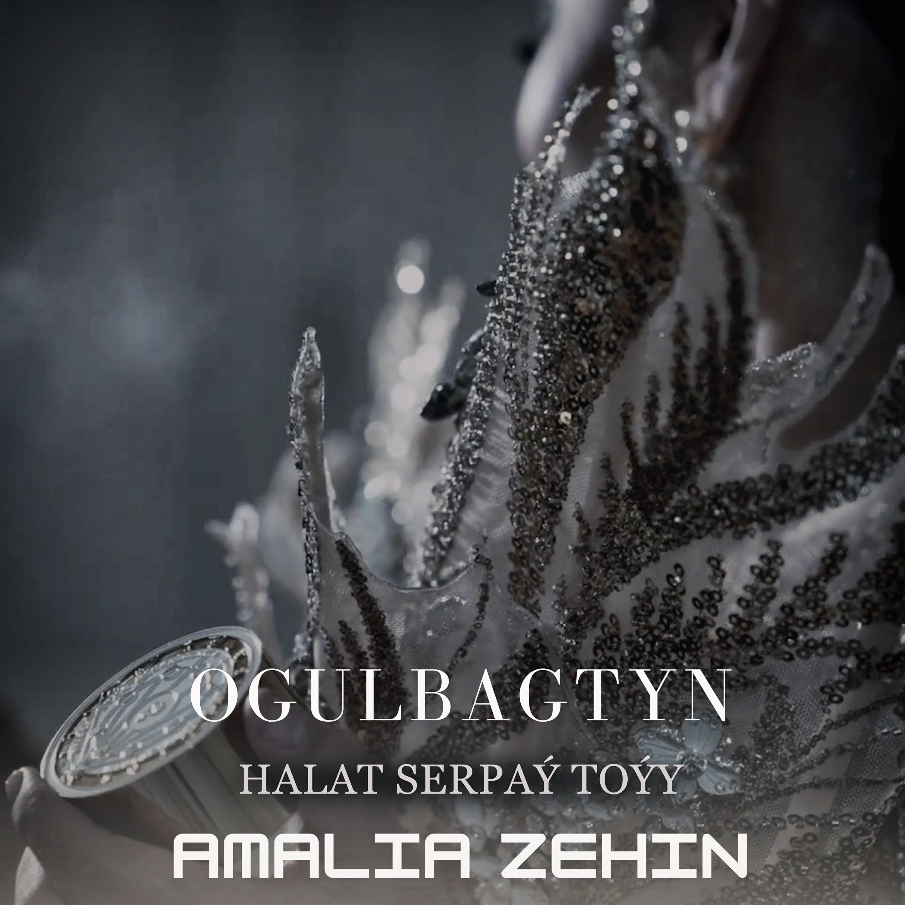 Релиз Ogulbagtyñ Halat Serpaý Toýy