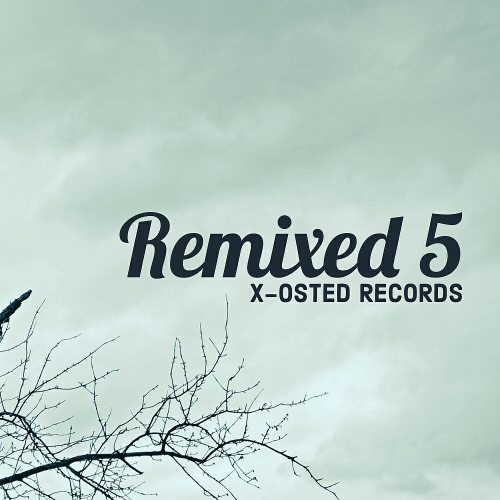 Релиз Remixed 5