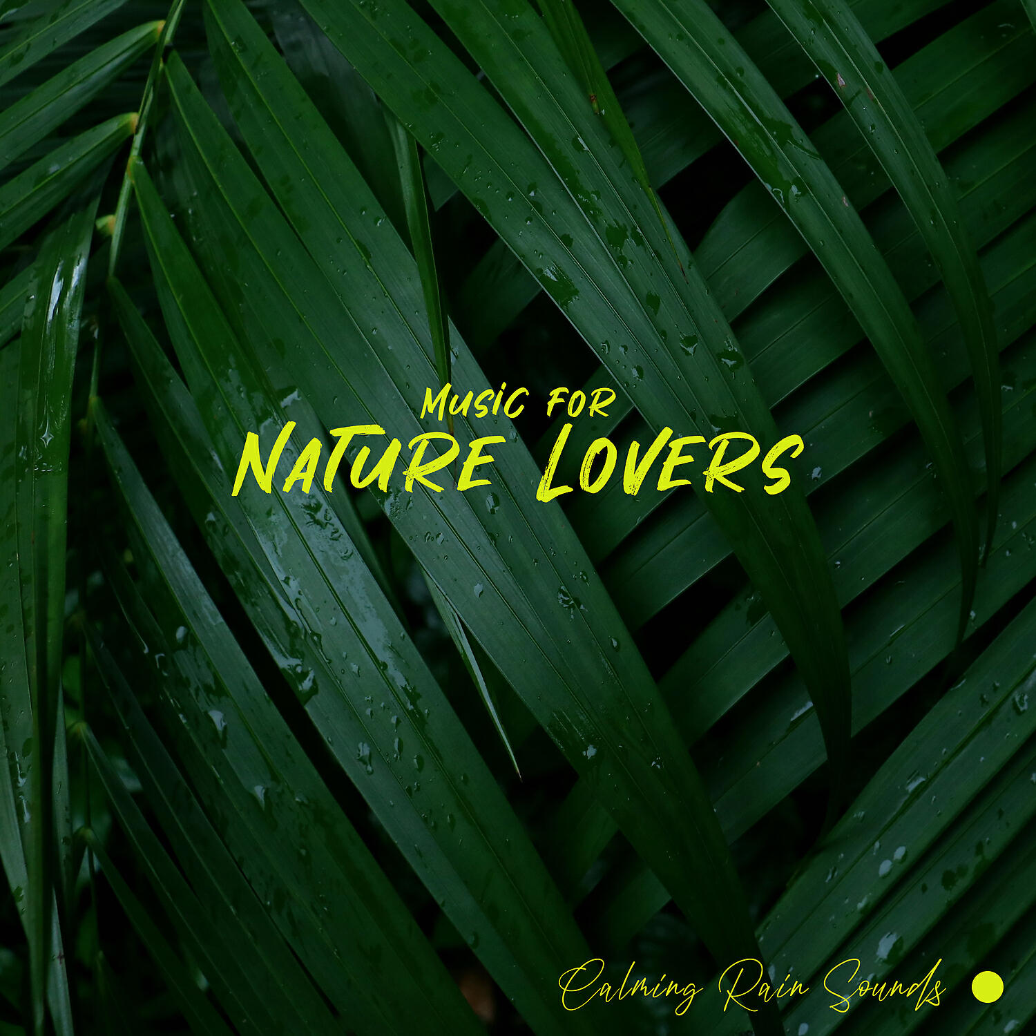 Релиз Music for Nature Lovers: Calming Rain Sounds