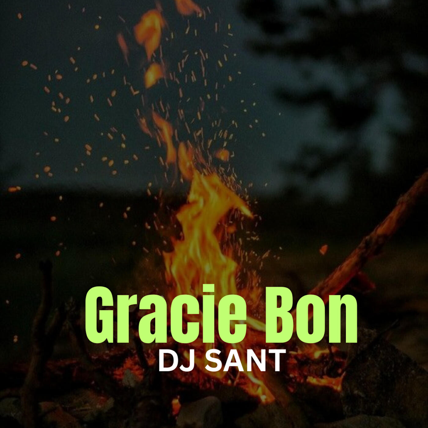 Релиз Gracie Bon