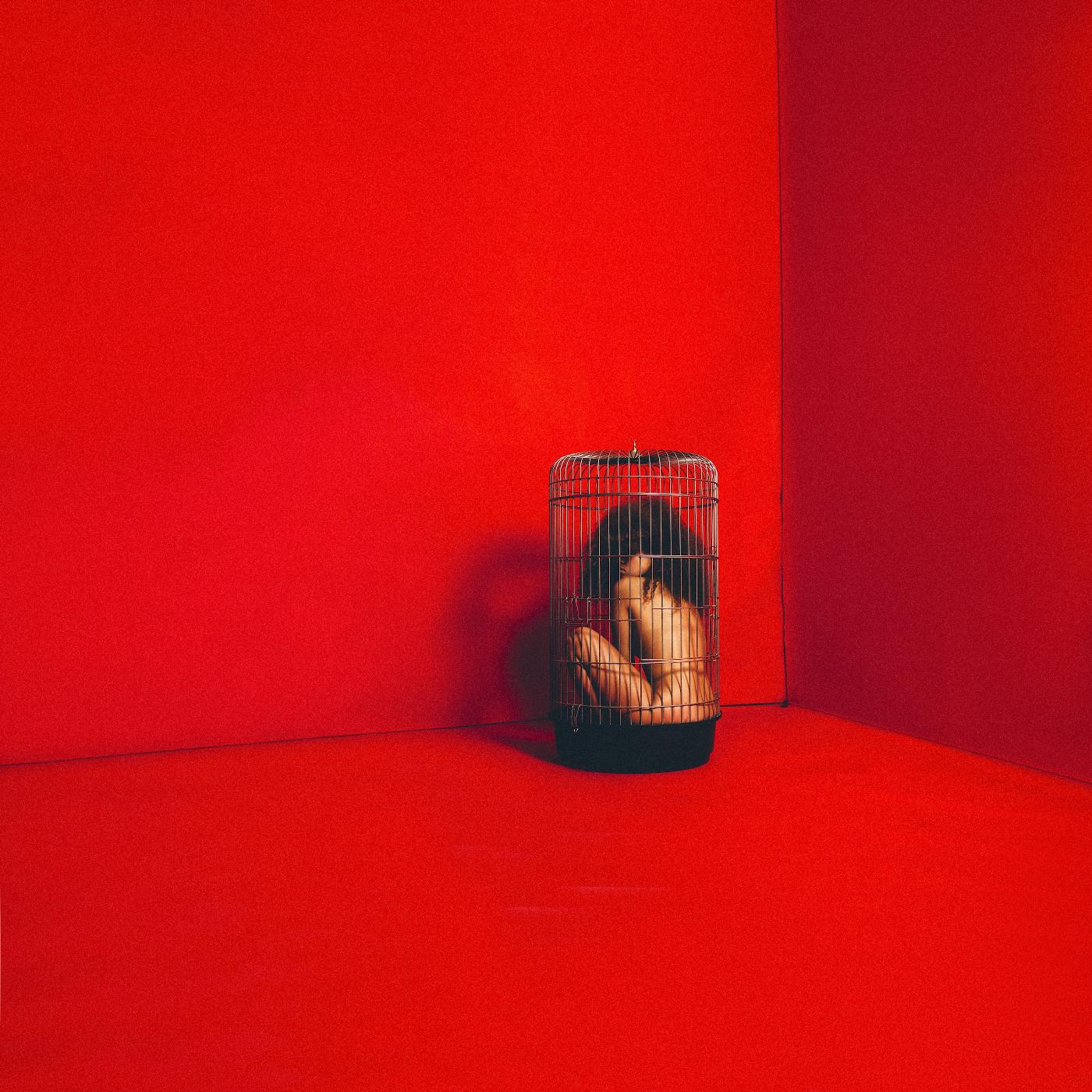 Релиз Aviary: Act 1