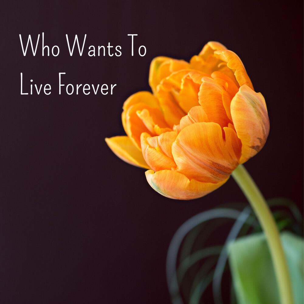 Релиз Who Wants to Live Forever
