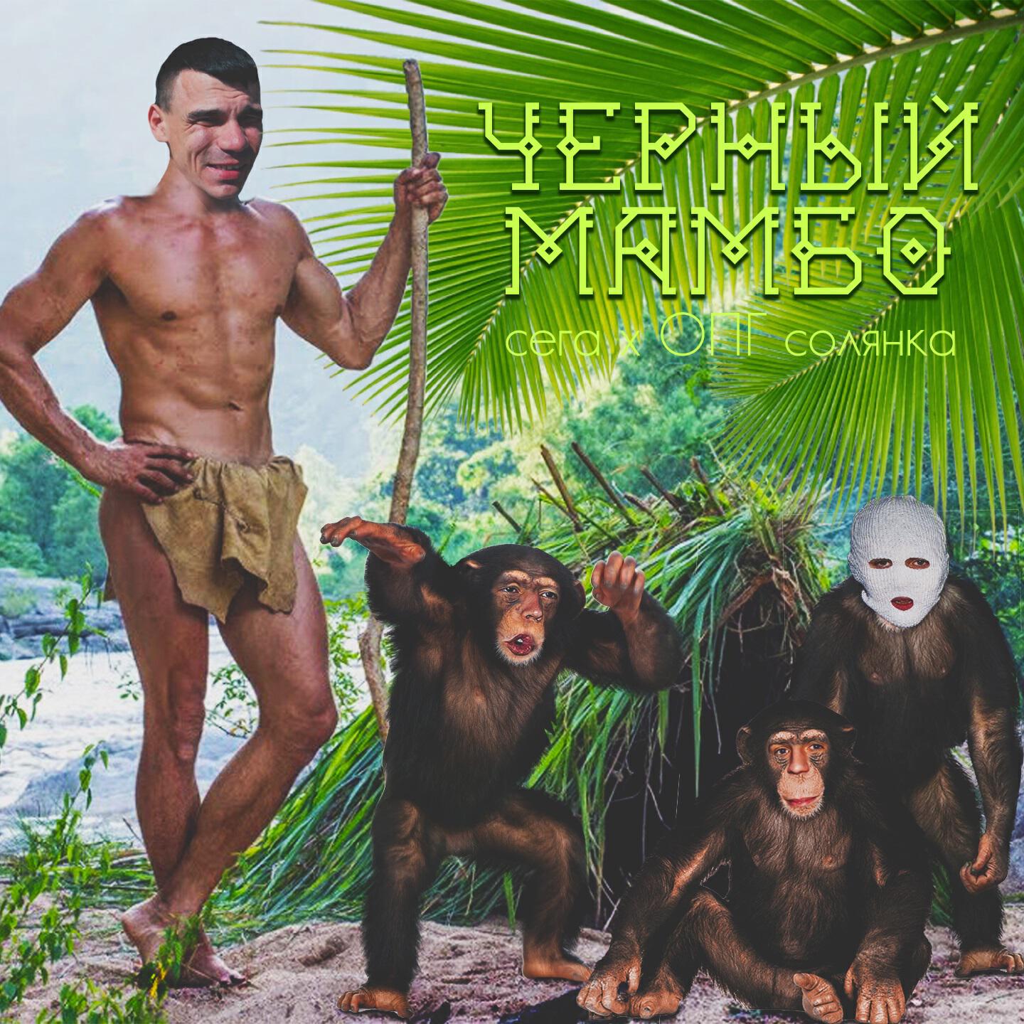 Релиз Черный мамбо