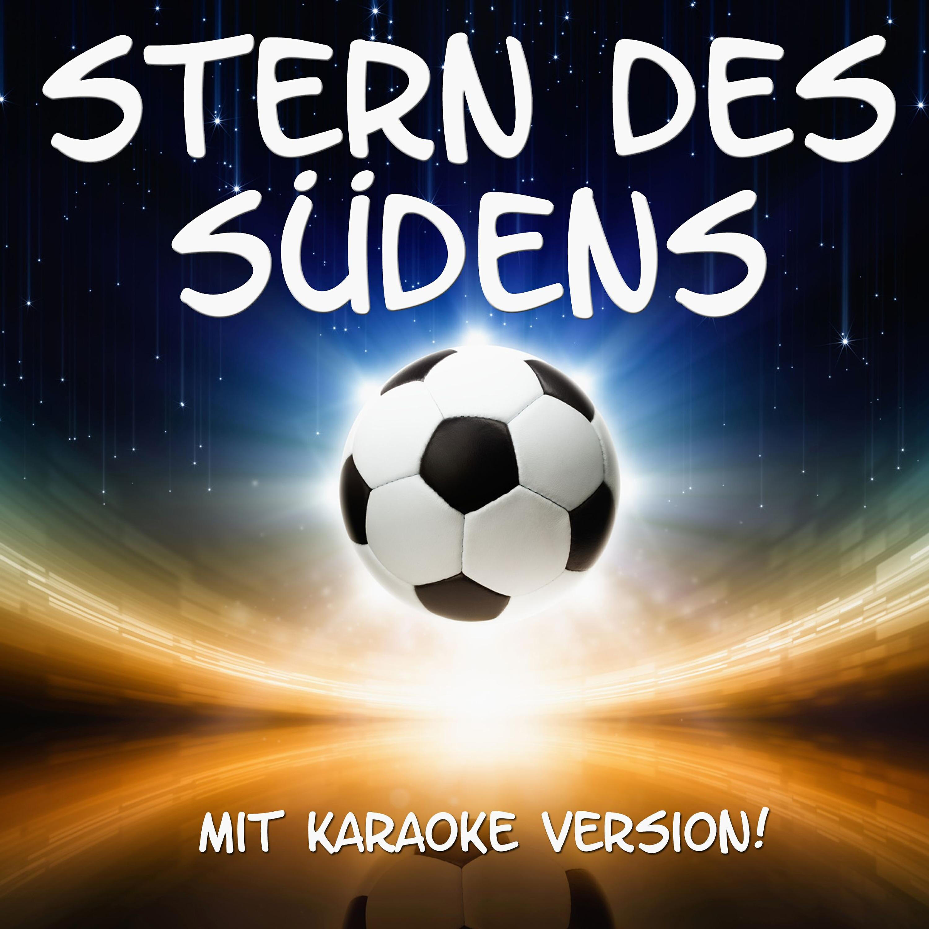 Stern des Südens