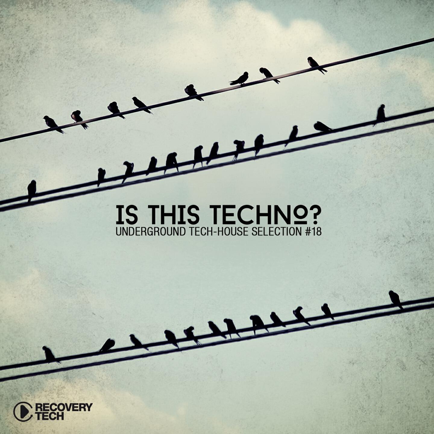 Релиз Is This Techno? Vol. 18