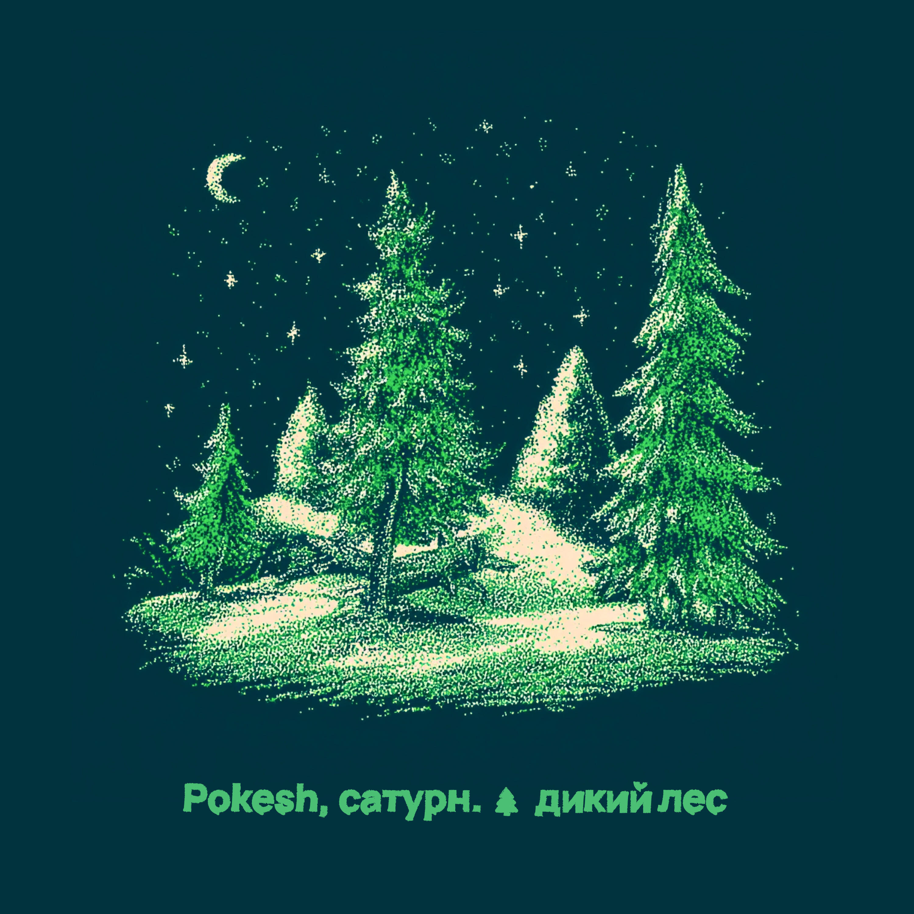Постер альбома дикий лес