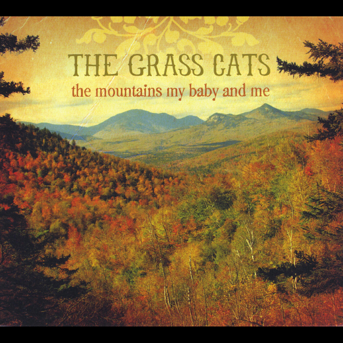 The Grass Cats