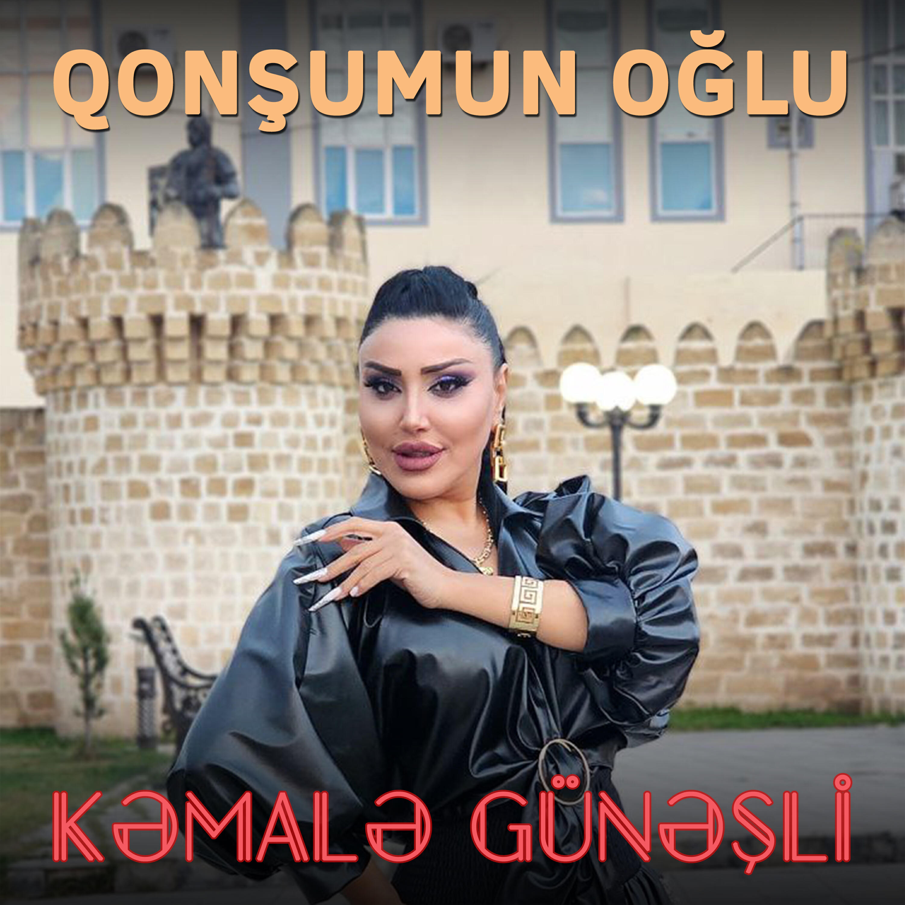 Постер альбома Qonşumun oğlu