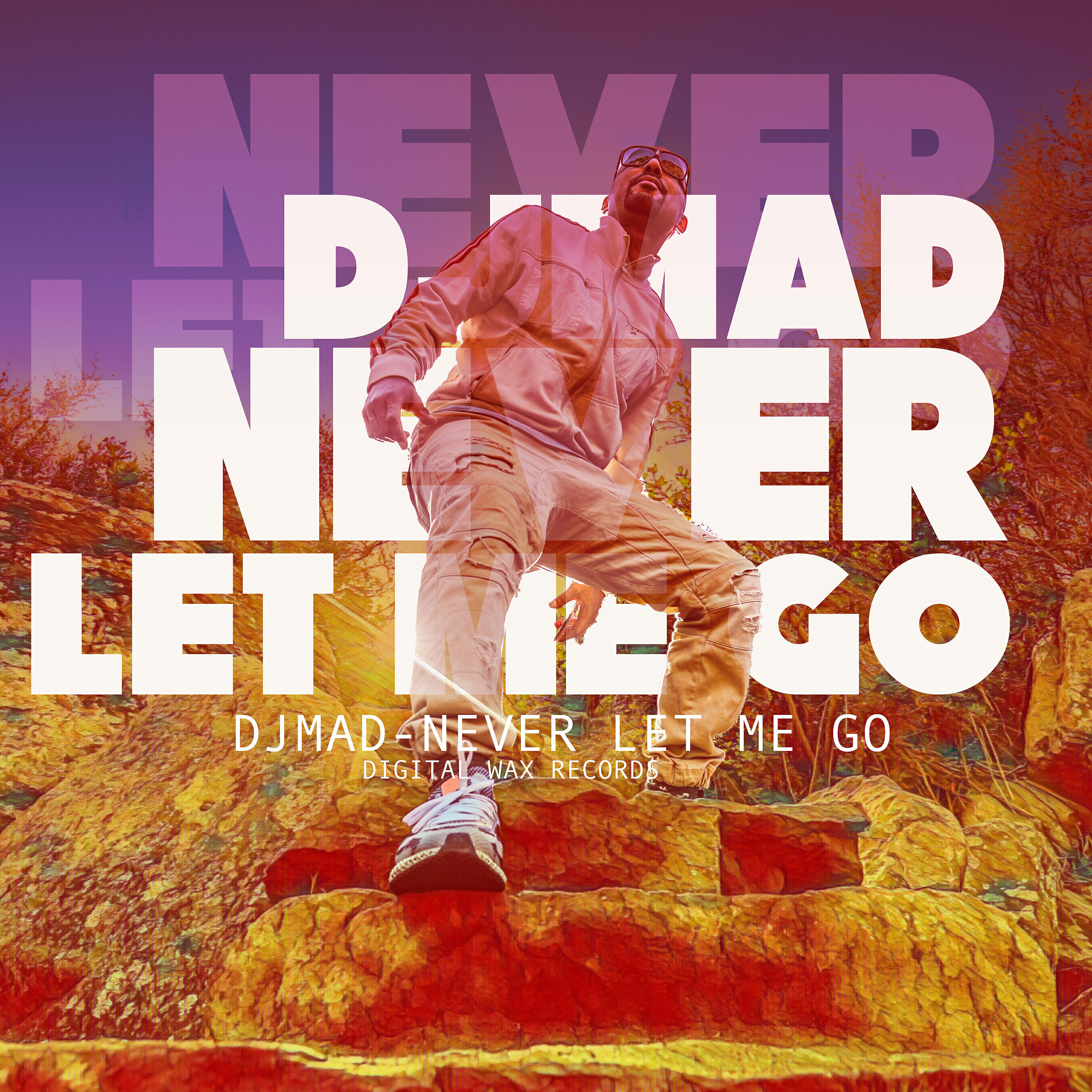 Релиз Never Let Me Go