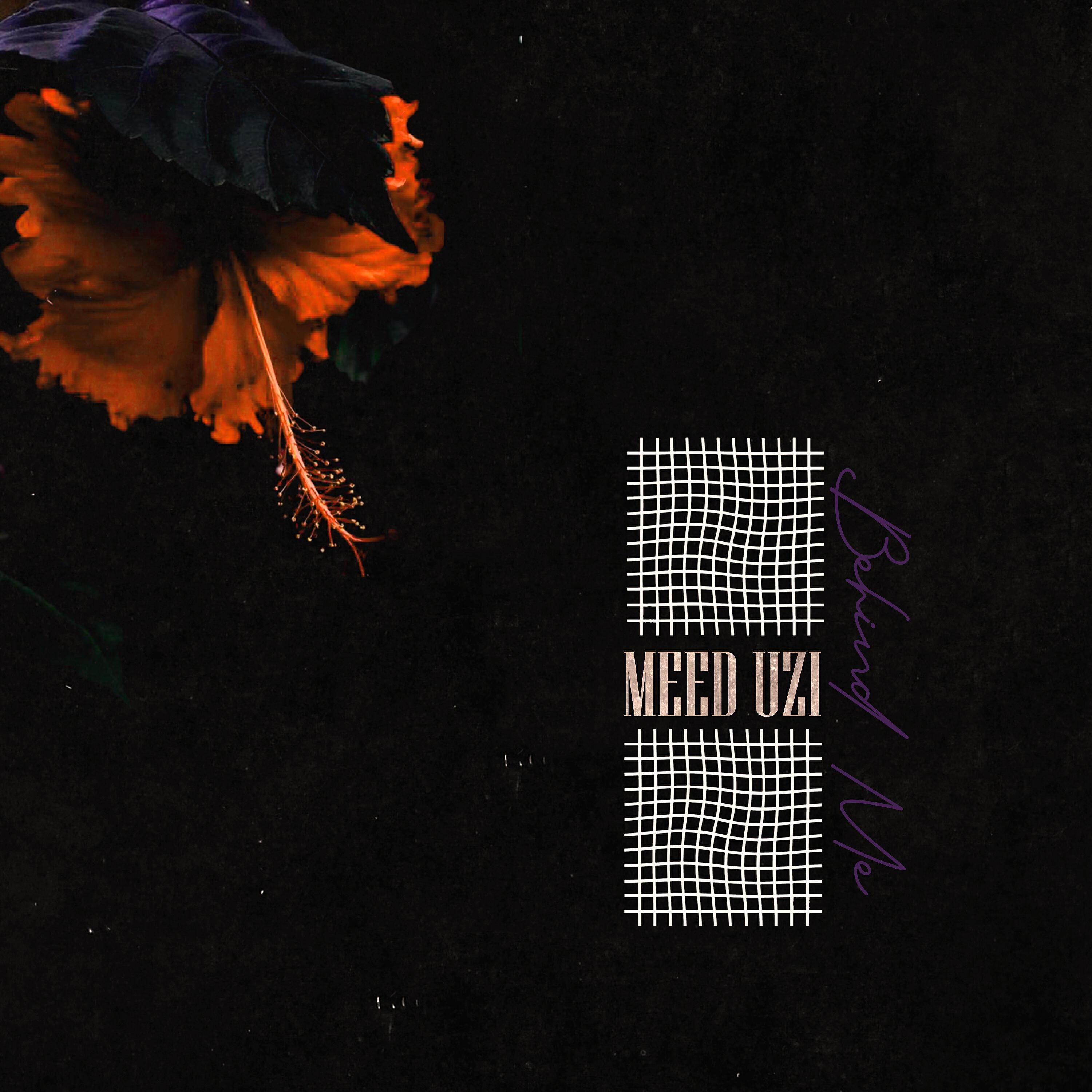 Meed Uzi