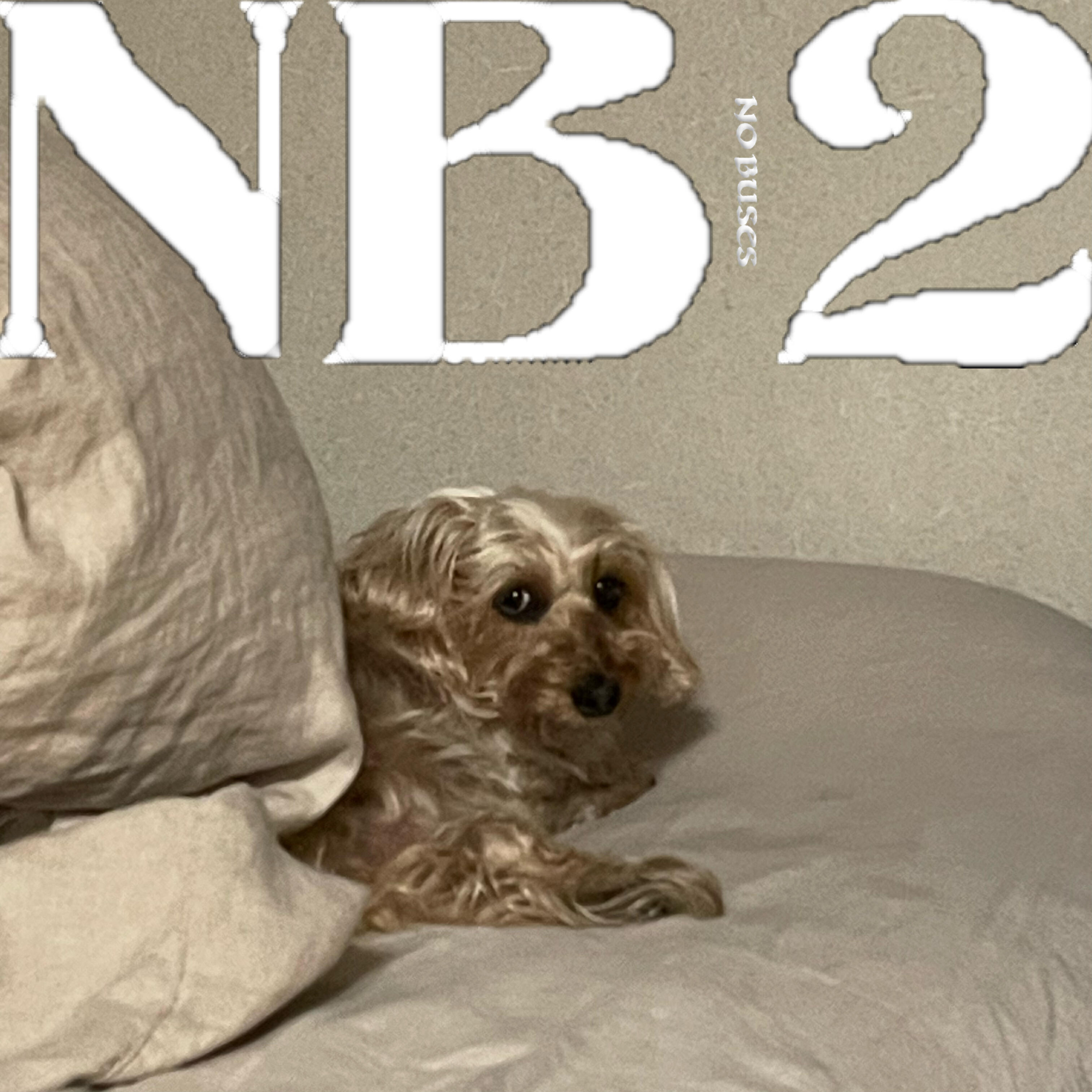 Релиз NB2