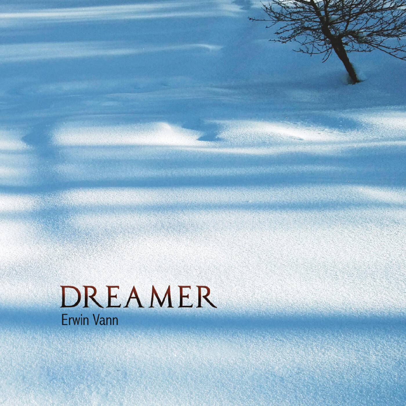 Релиз Dreamer