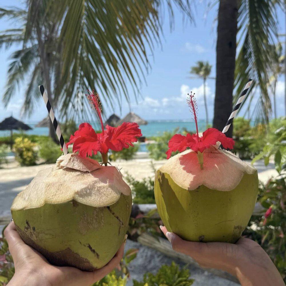 Релиз Coconut island