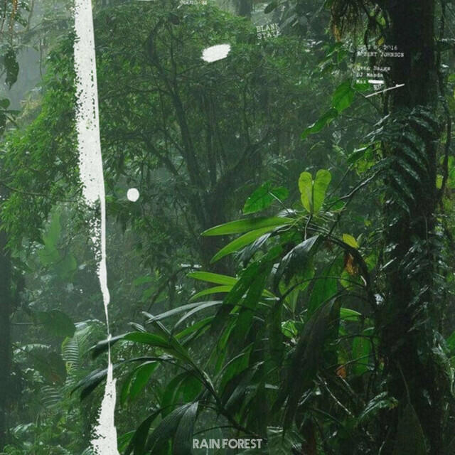 Релиз Rain Forest