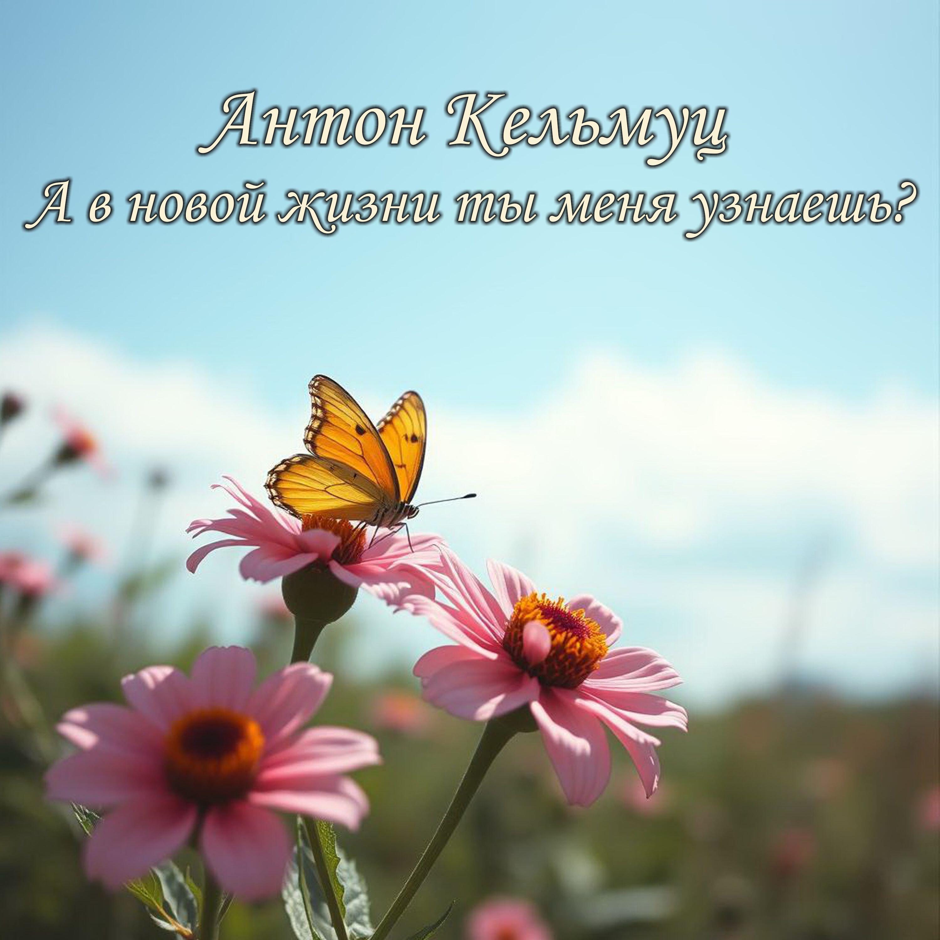 Релиз А в новой жизни ты меня узнаешь?