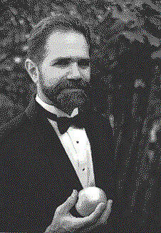 Robert Mosci