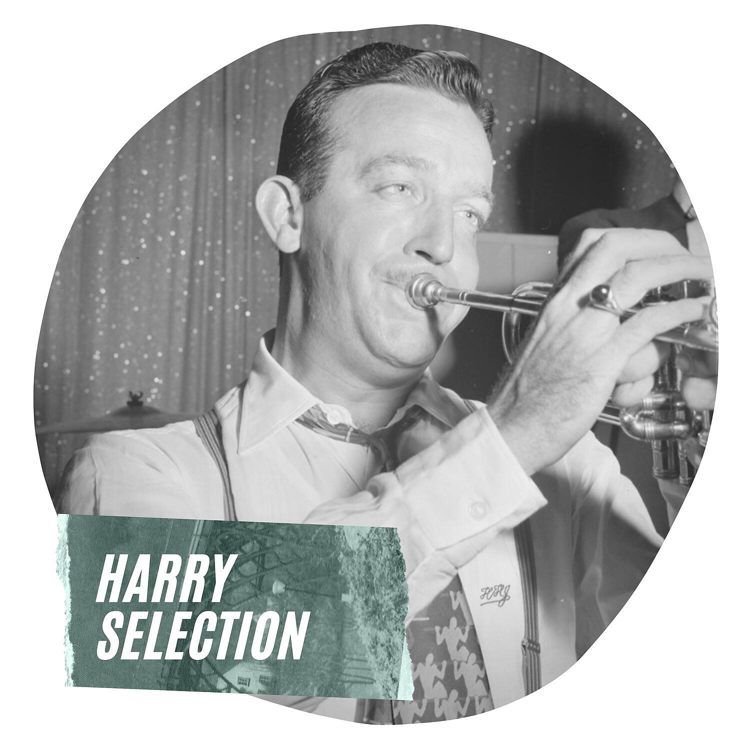 Релиз Harry Selection